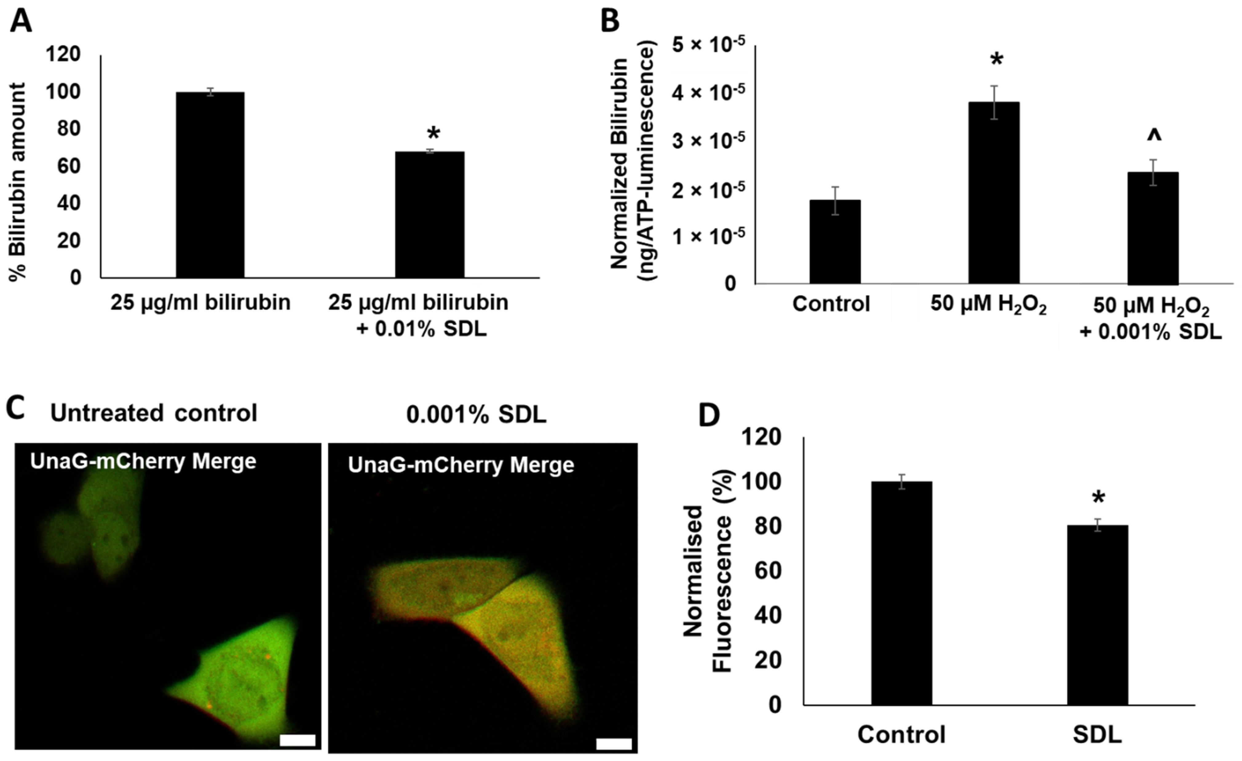 Ijms 23 05884 g008 550