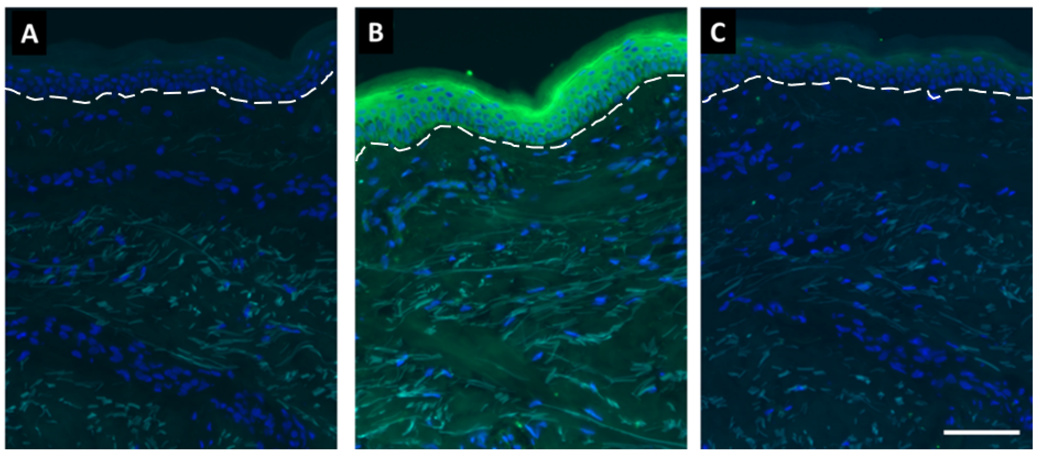 Ijms 23 05884 g009 550