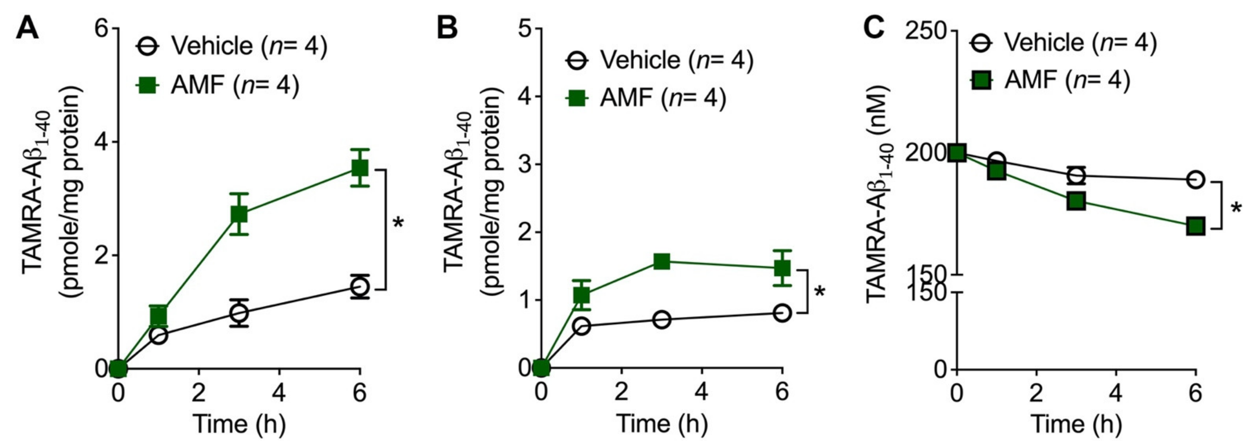 Ijms 23 05885 g003 550