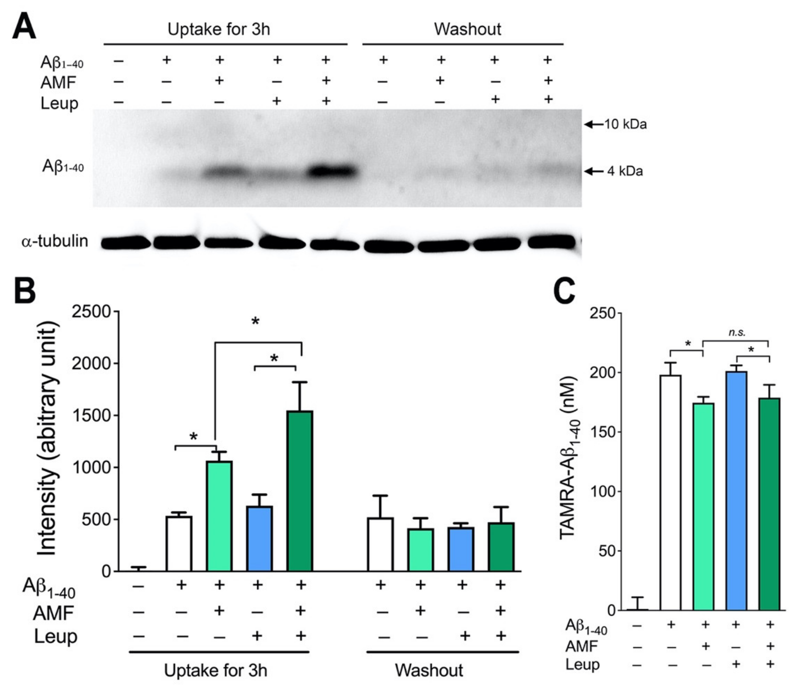 Ijms 23 05885 g004 550