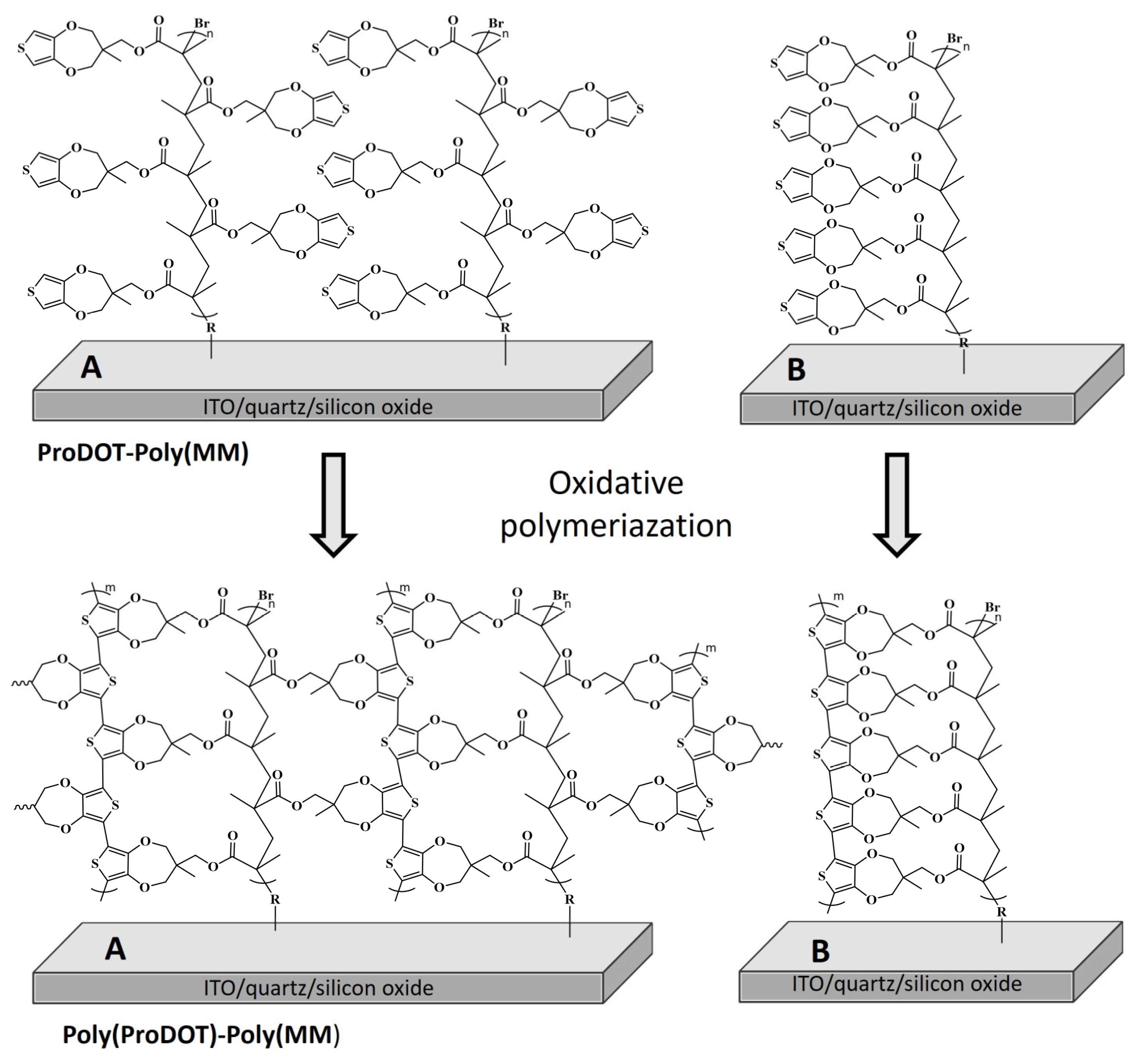 Ijms 23 05886 g002 550