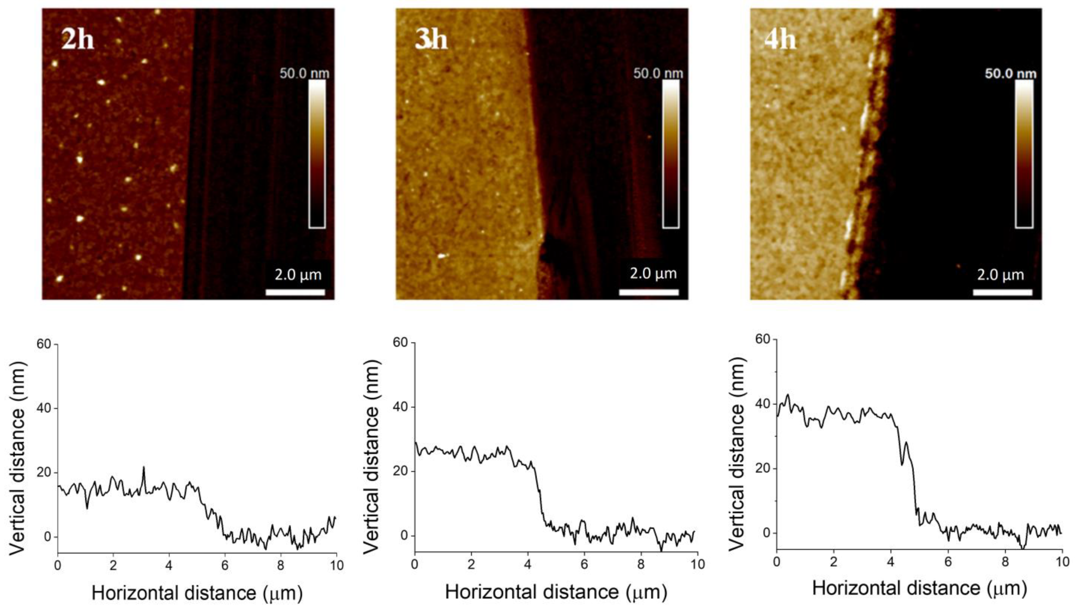 Ijms 23 05886 g003 550