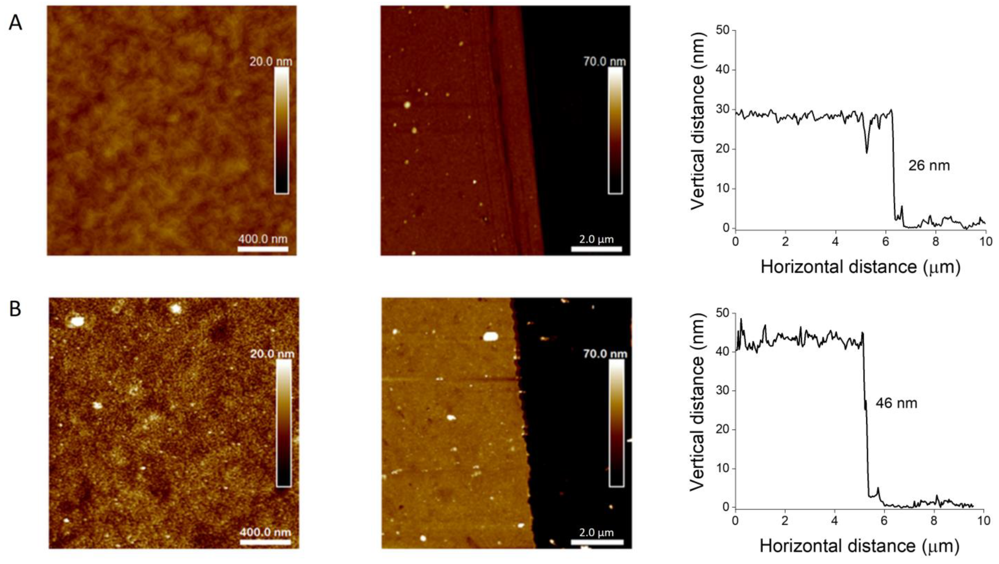 Ijms 23 05886 g005 550