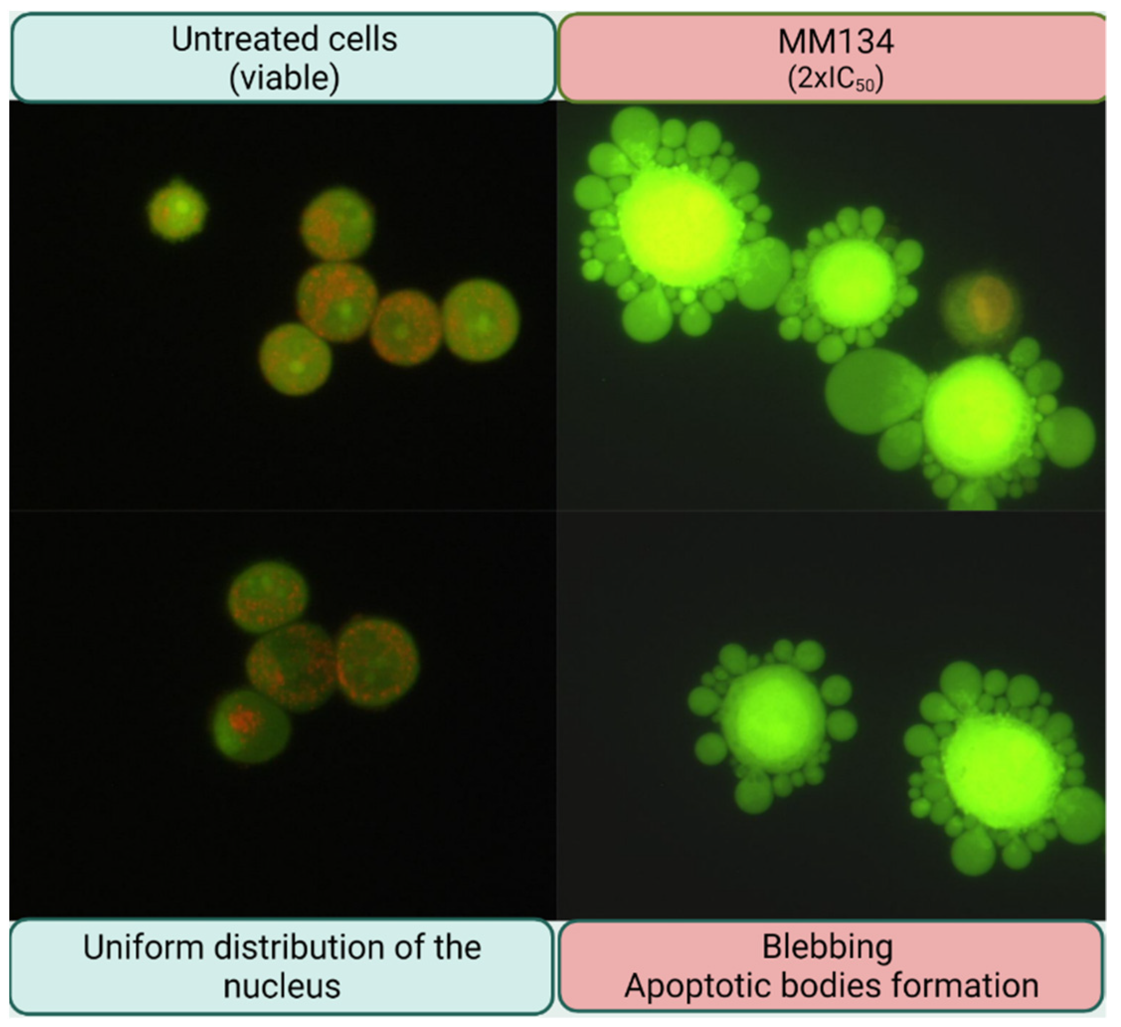 Ijms 23 05892 g010 550