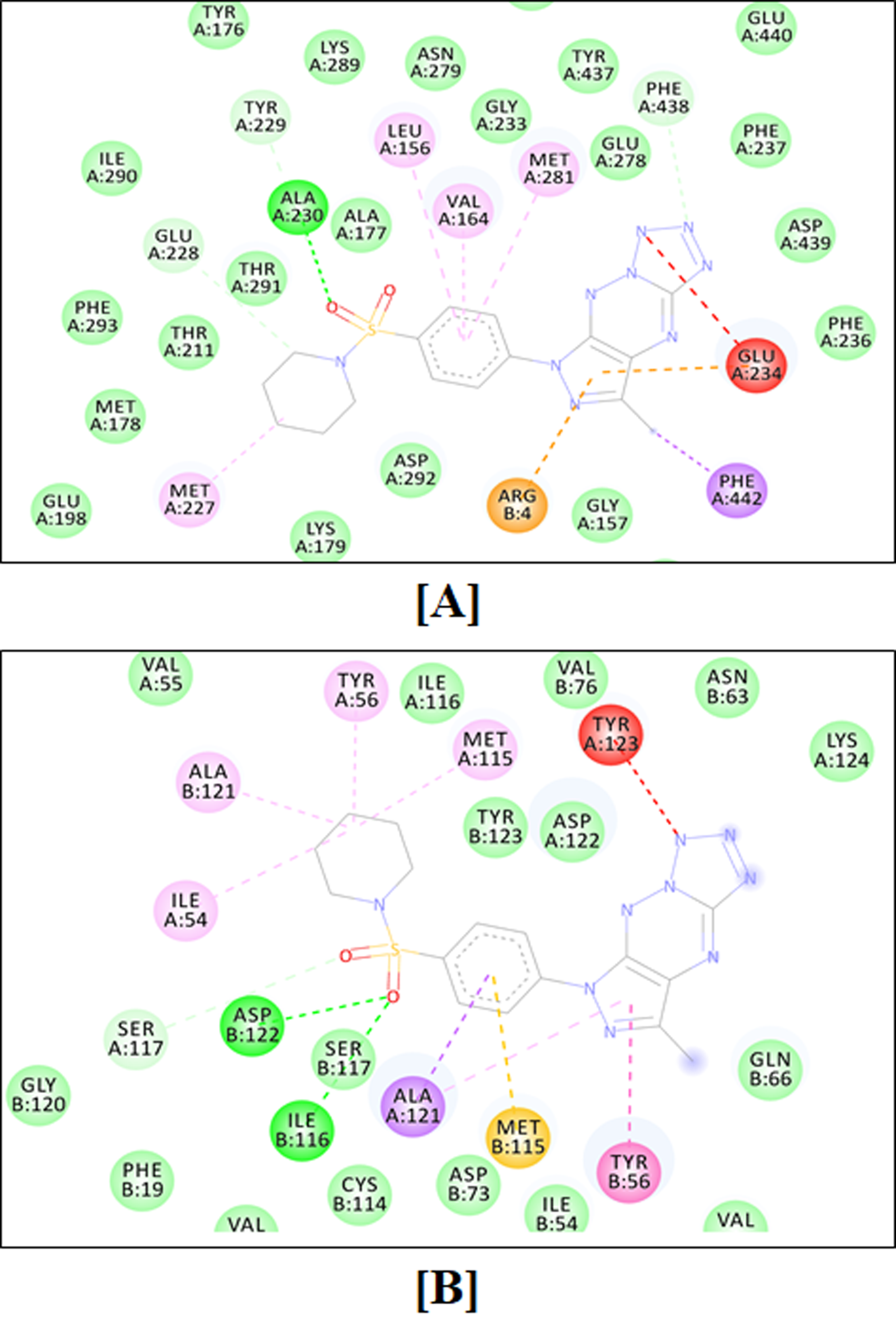 Ijms 23 05892 g013 550