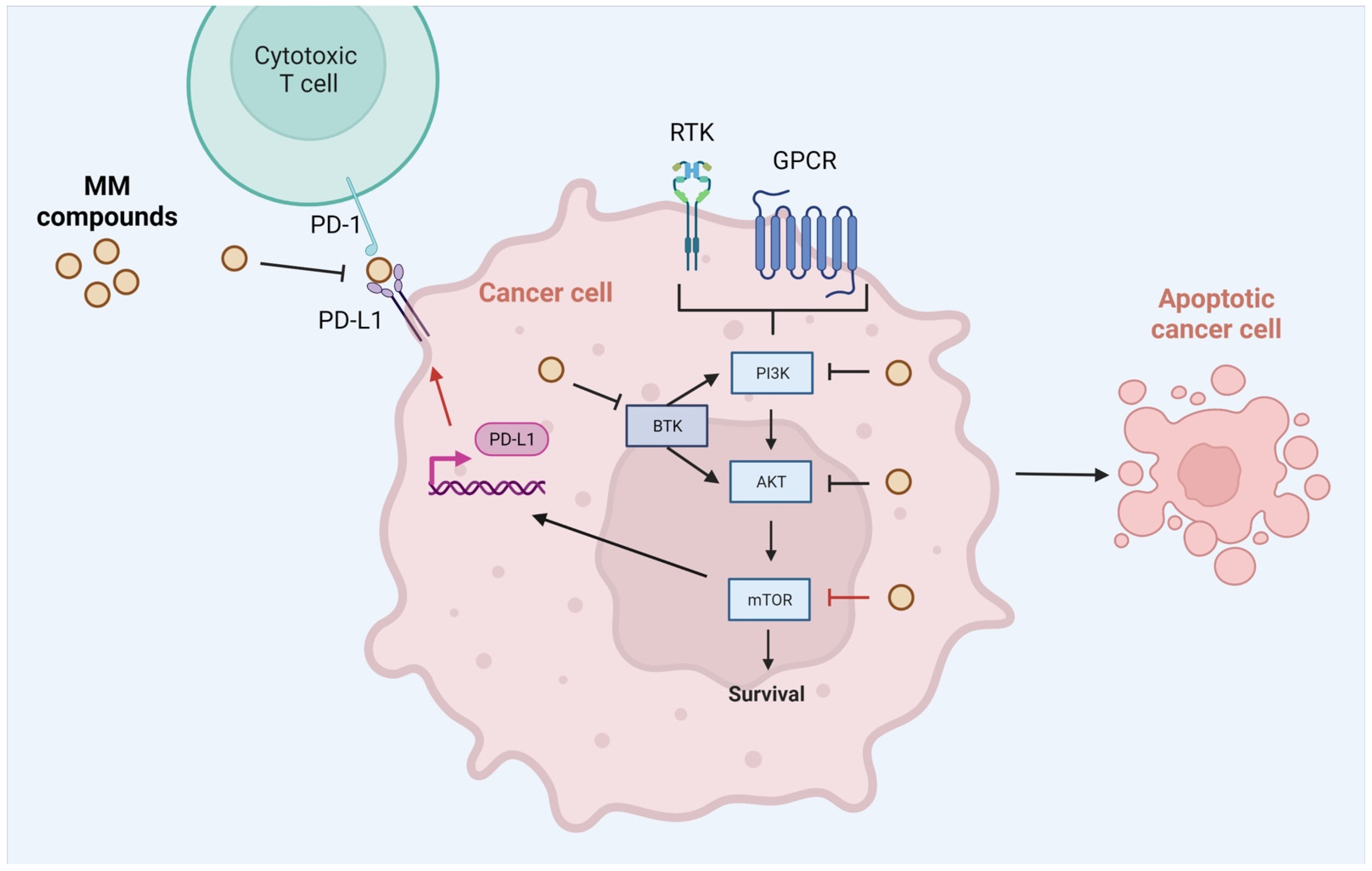Ijms 23 05892 g014 550