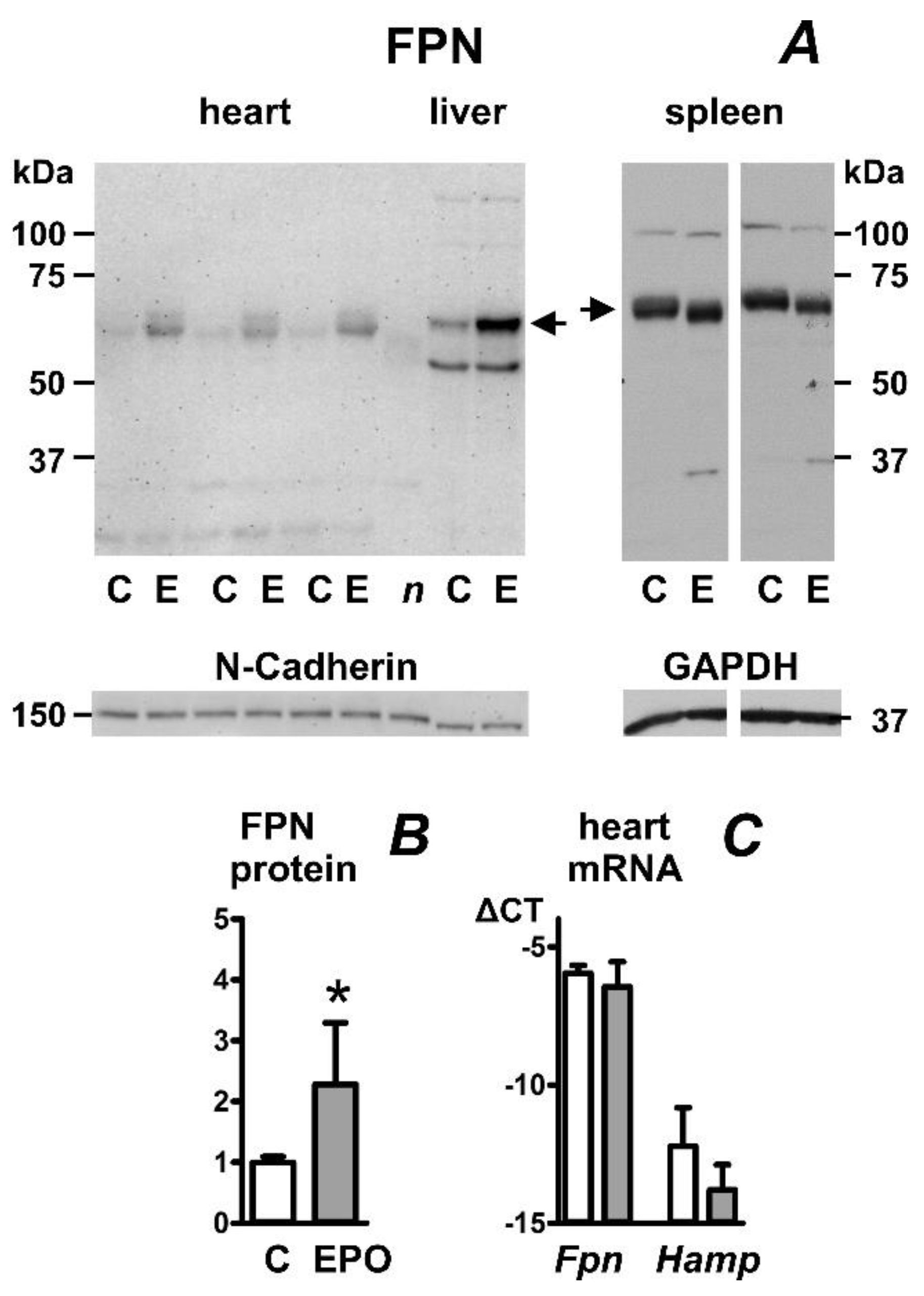 Ijms 23 05899 g001 550