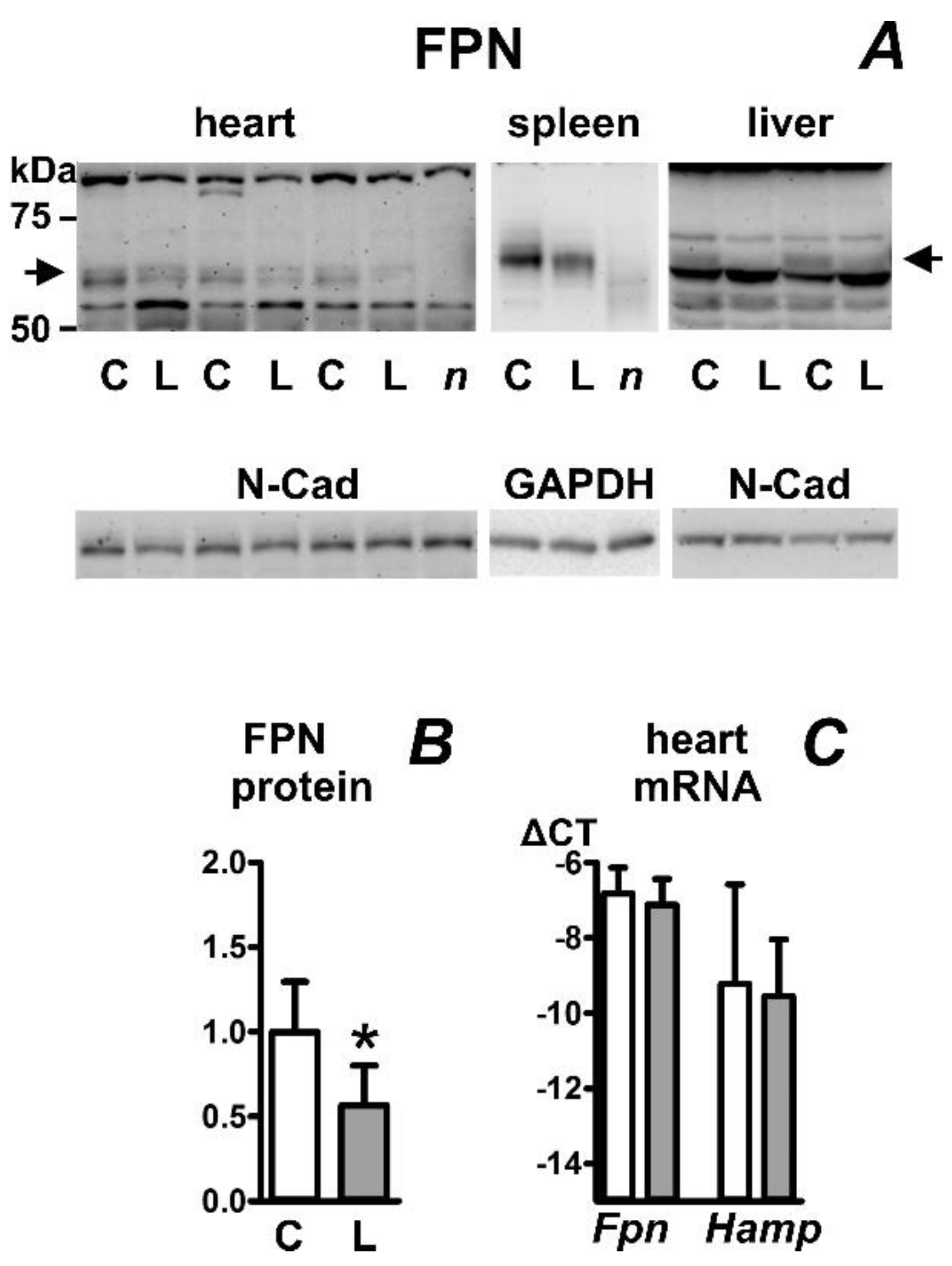 Ijms 23 05899 g003 550