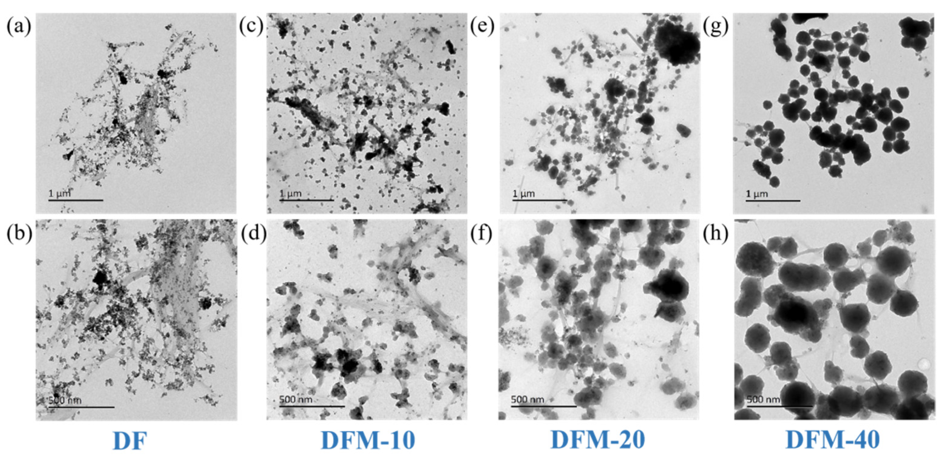 Ijms 23 05900 g002 550