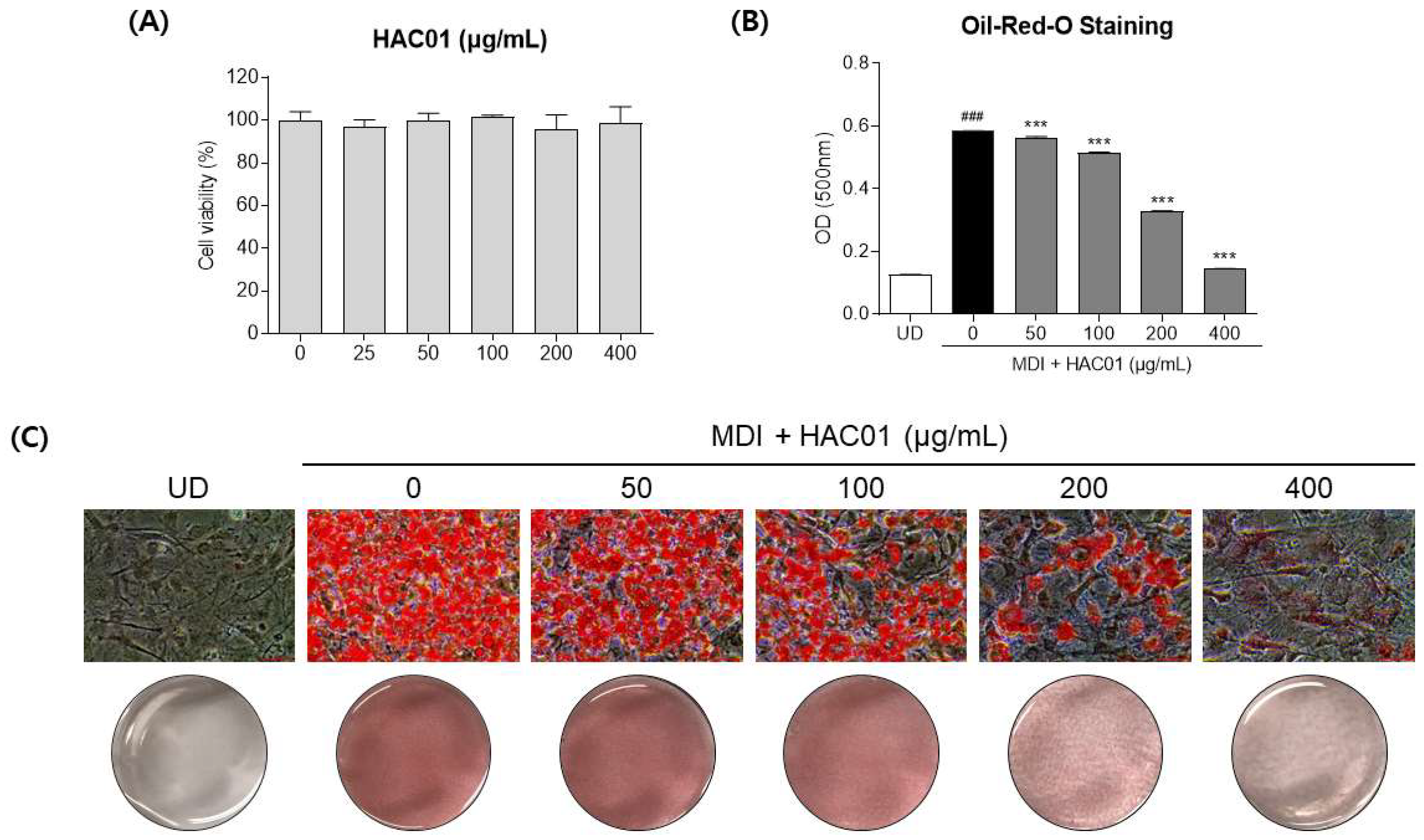 Ijms 23 05901 g001 550