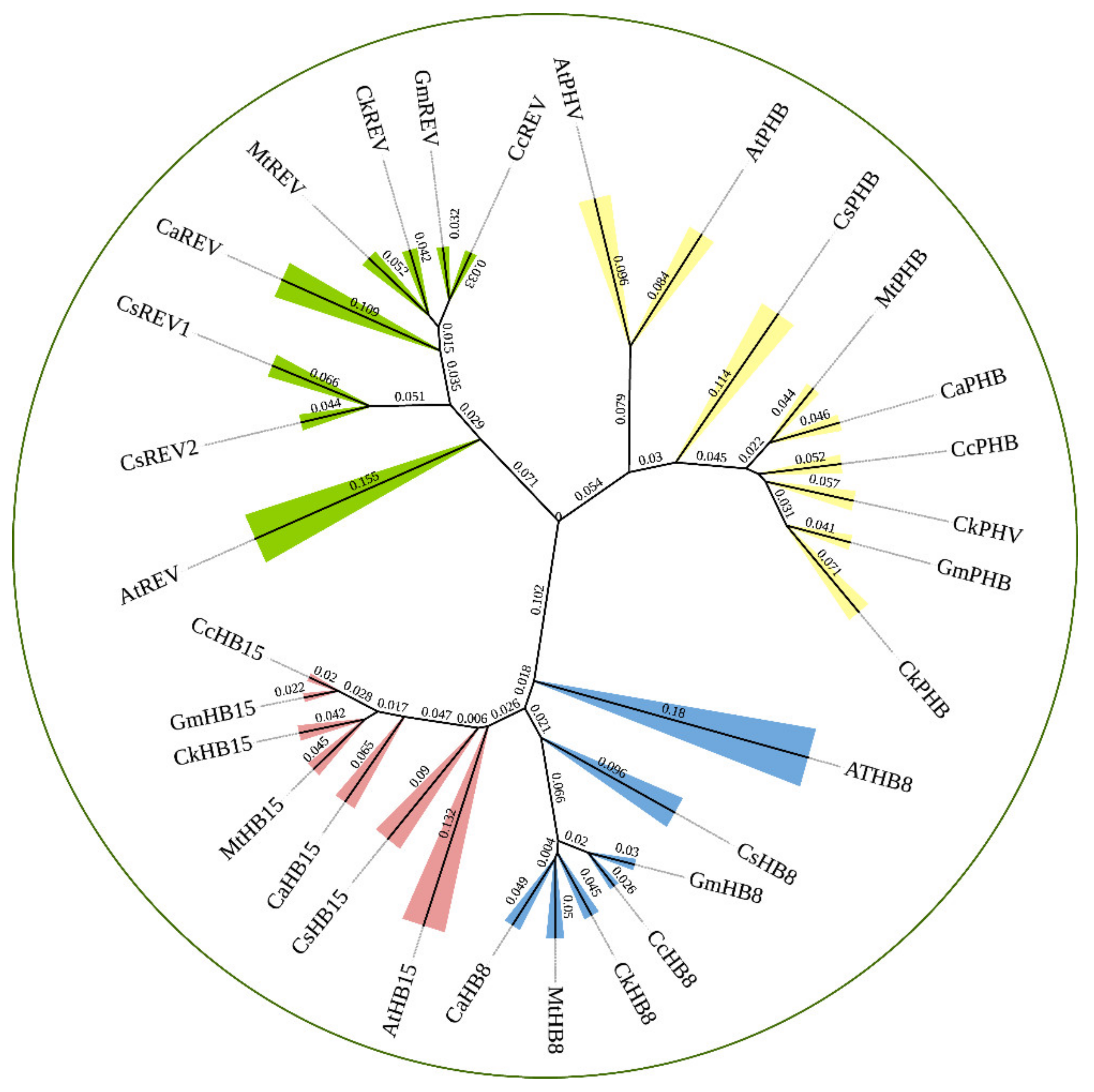 Ijms 23 05902 g001 550