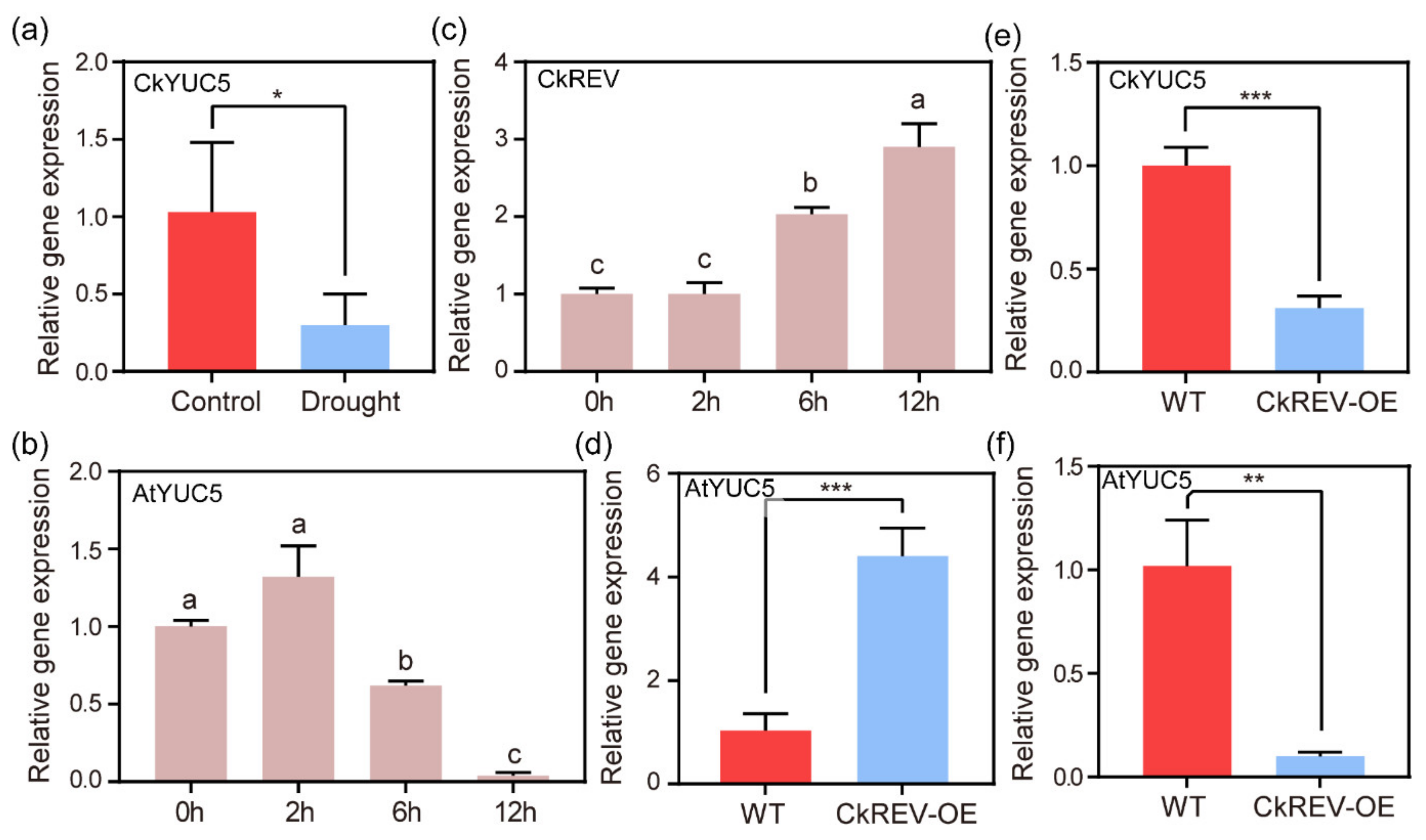 Ijms 23 05902 g004 550