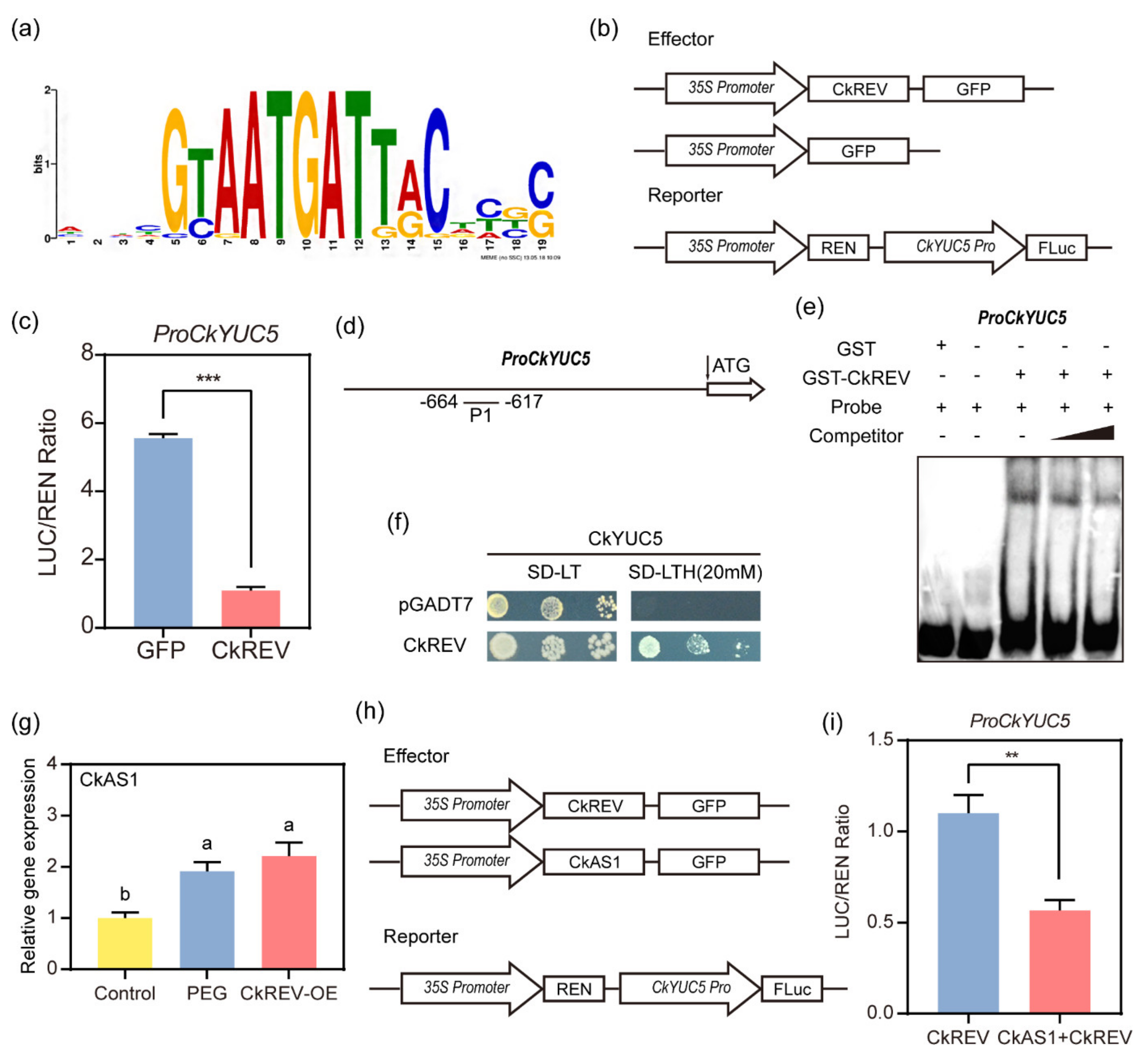 Ijms 23 05902 g006 550