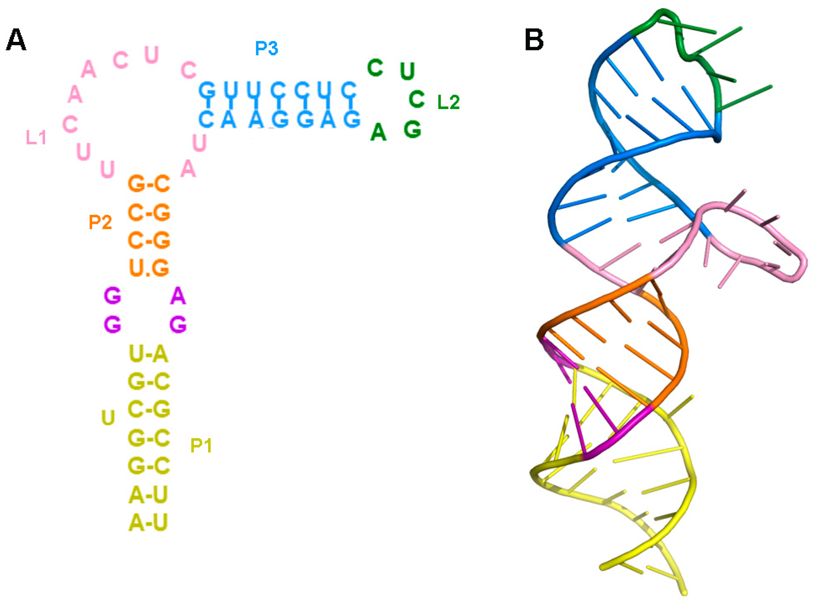 Ijms 23 05903 g001 Ijms 23 05903 g001