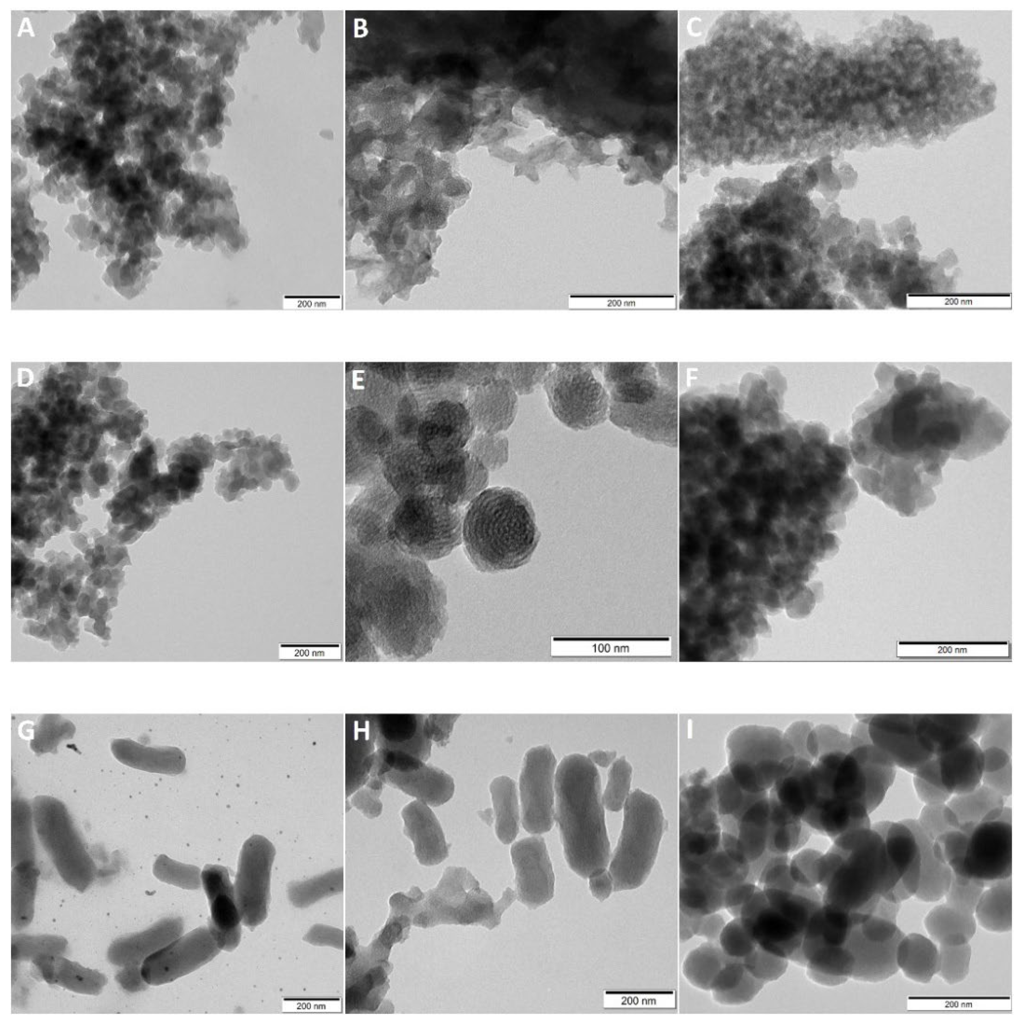 Ijms 23 05906 g002 550