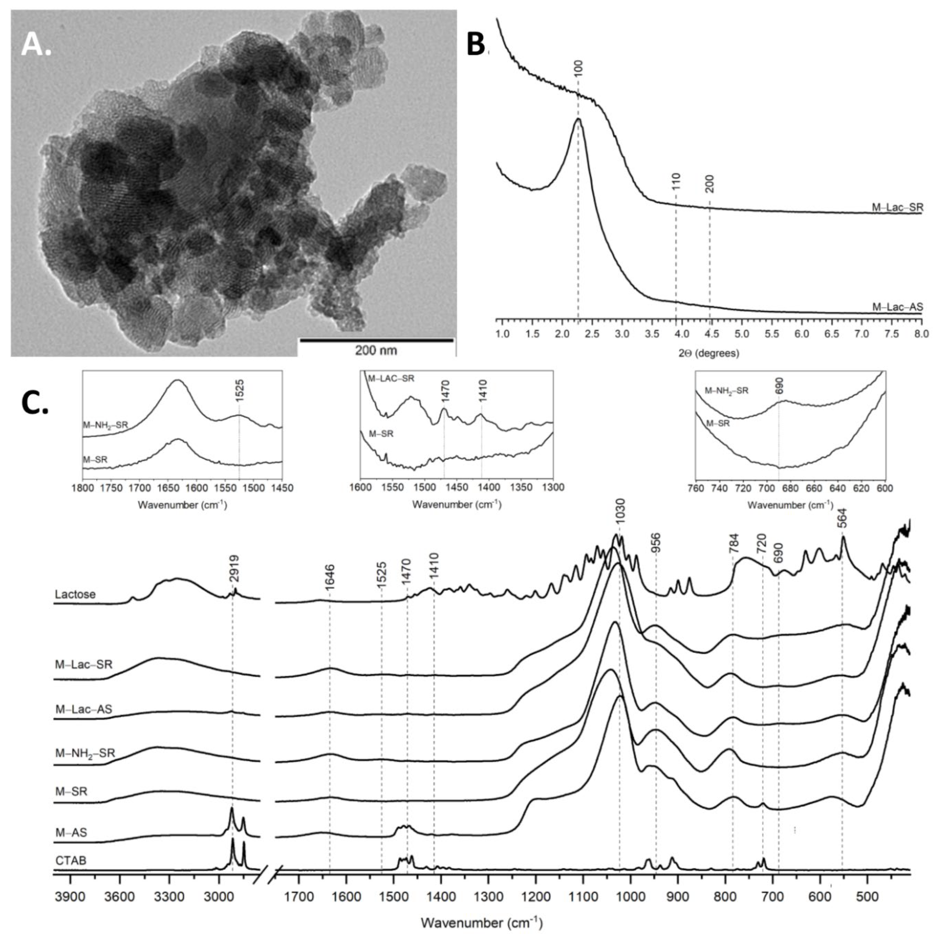 Ijms 23 05906 g007 550