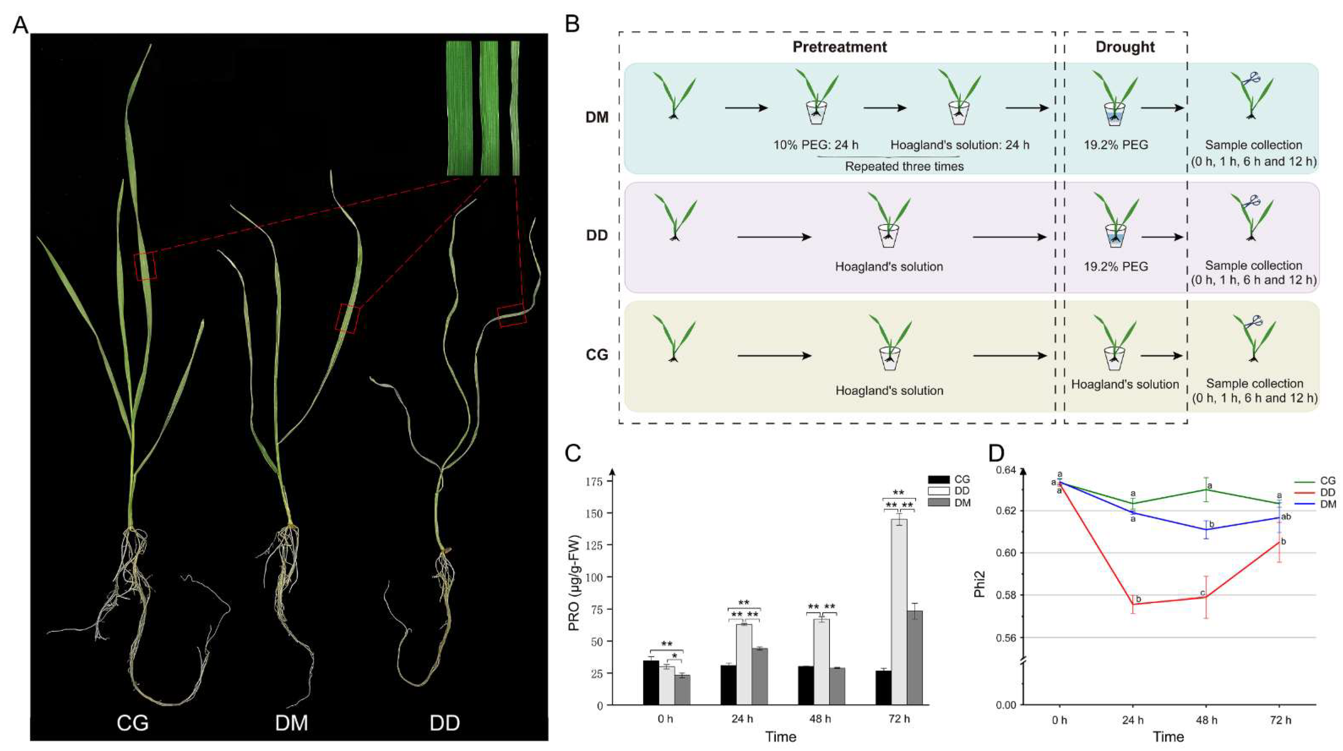 Ijms 23 05917 g001 550