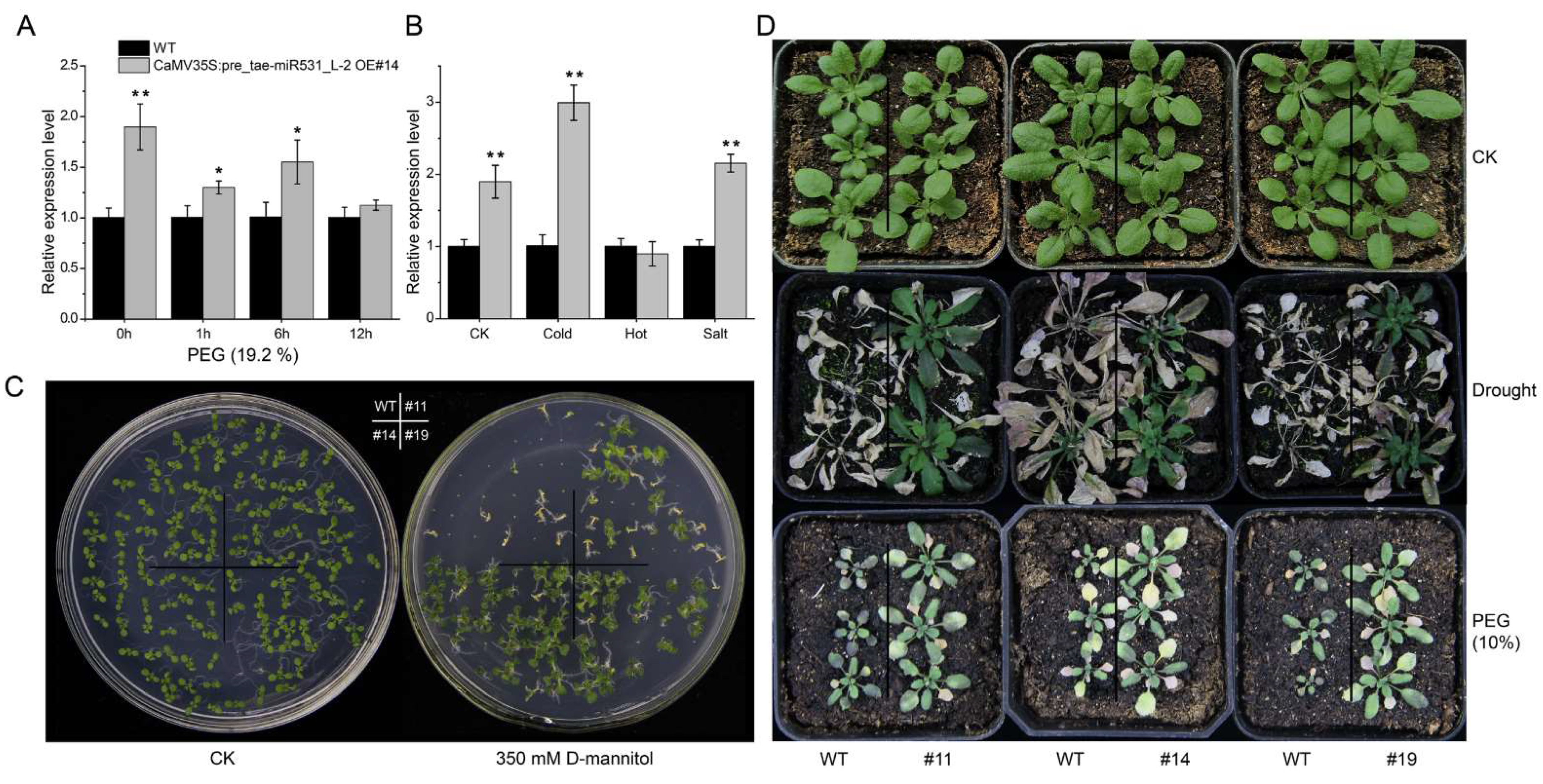 Ijms 23 05917 g004 550