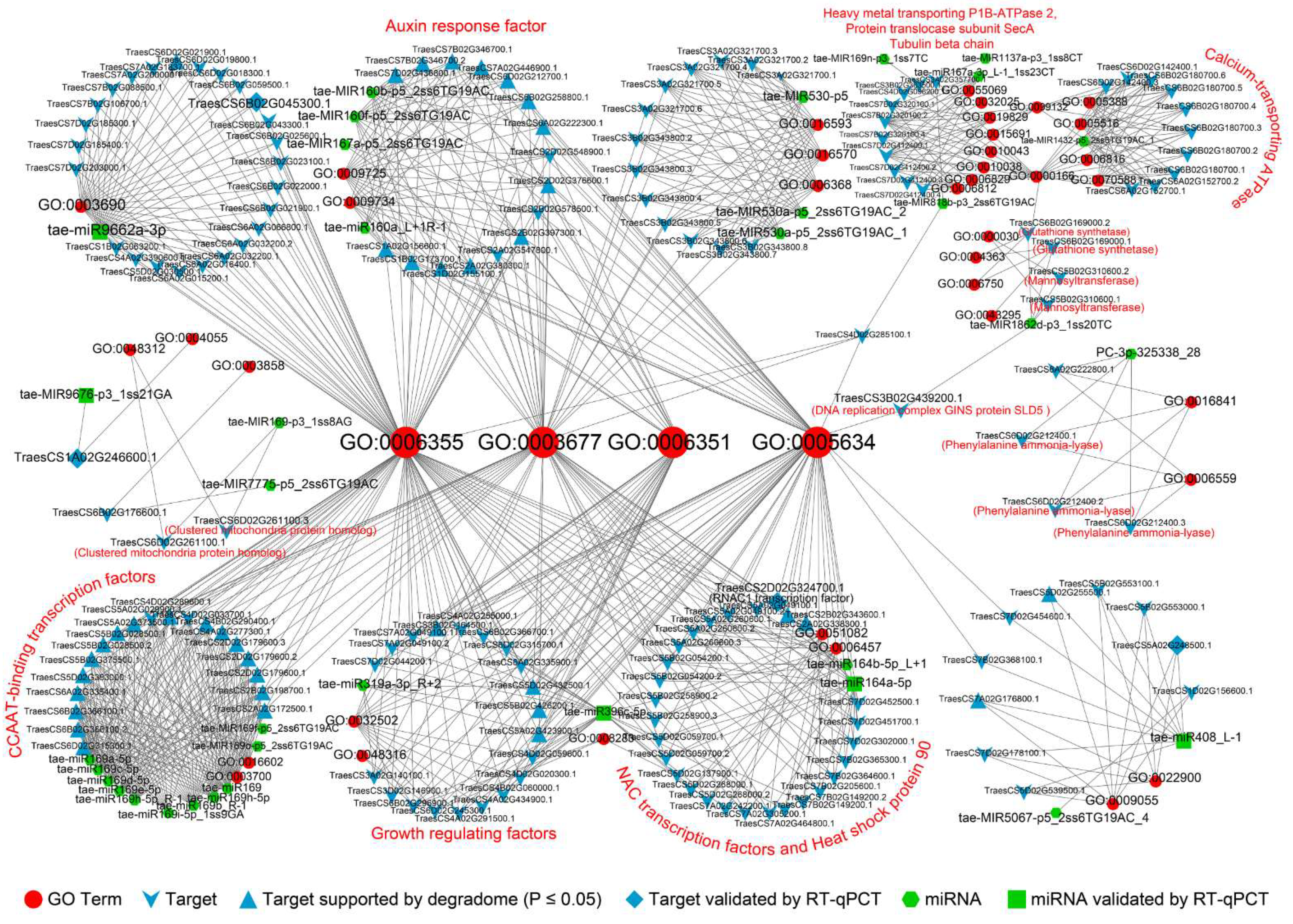 Ijms 23 05917 g005 550