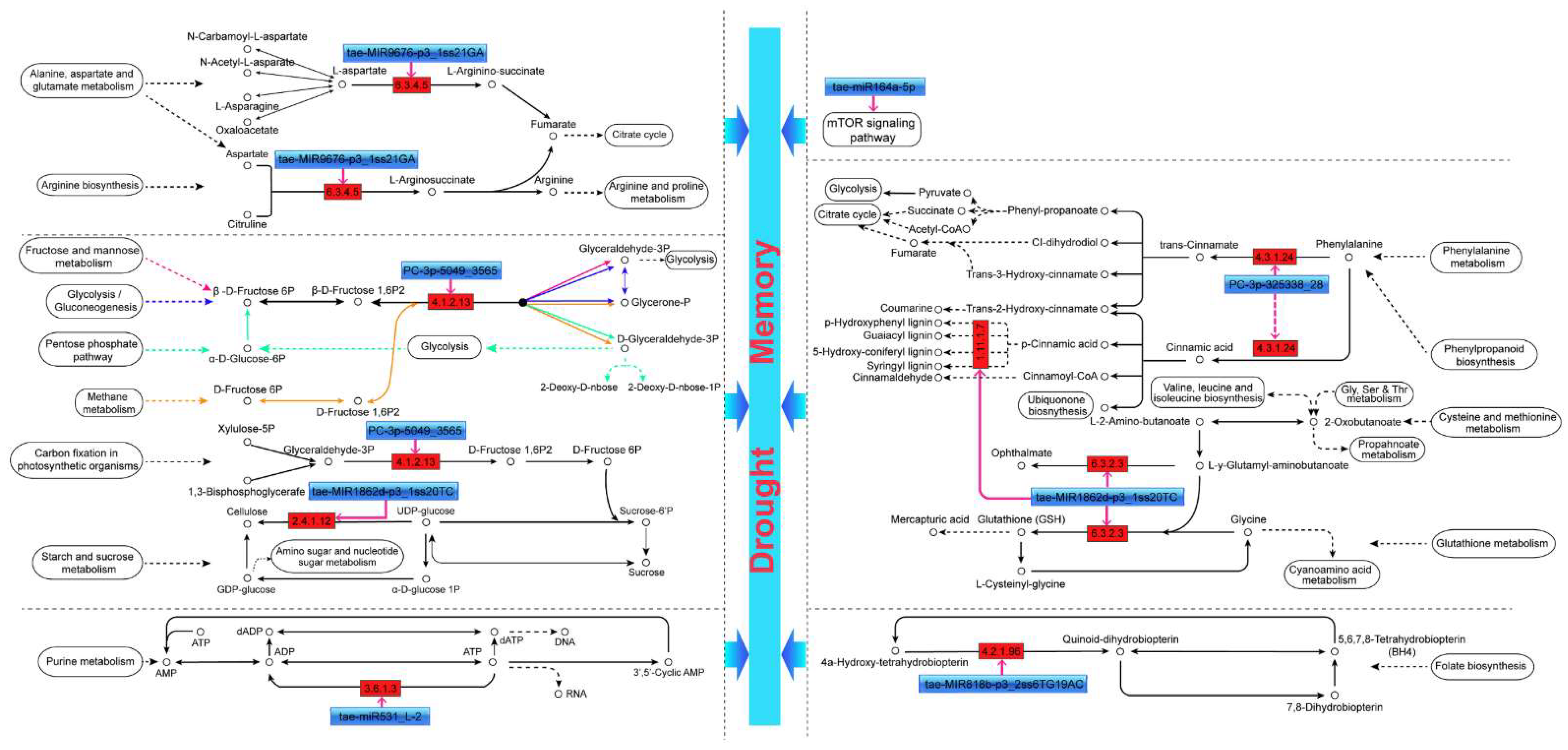 Ijms 23 05917 g006 550