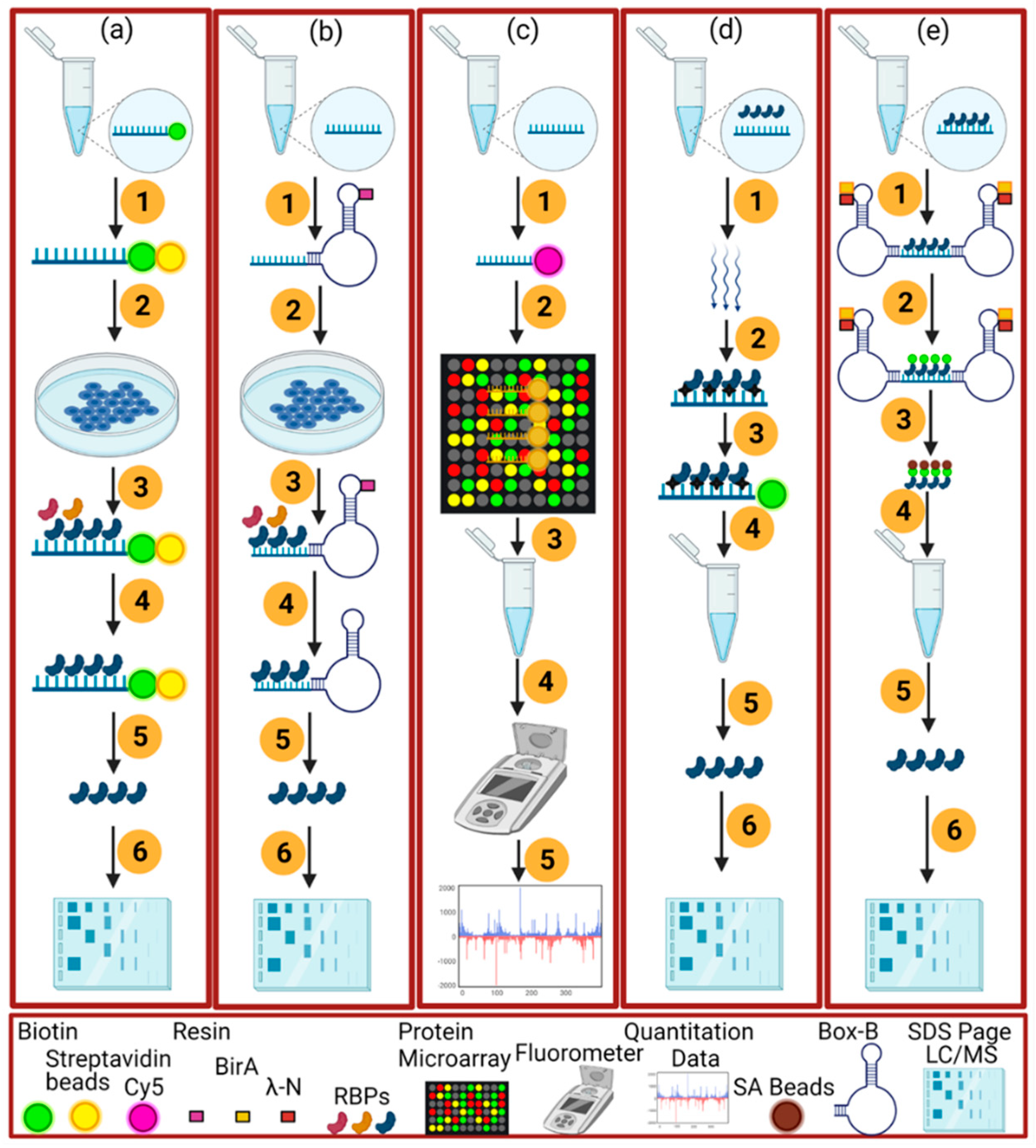 Ijms 23 05923 g003 550