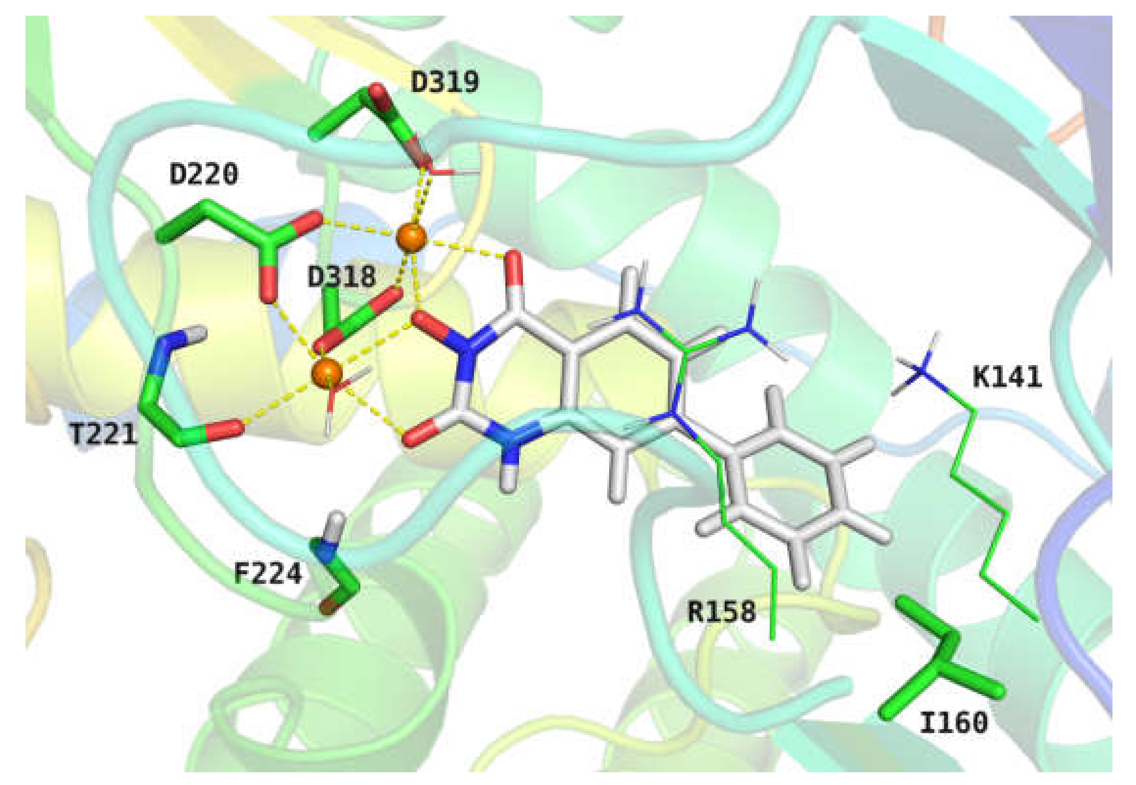 Ijms 23 05930 g004 550