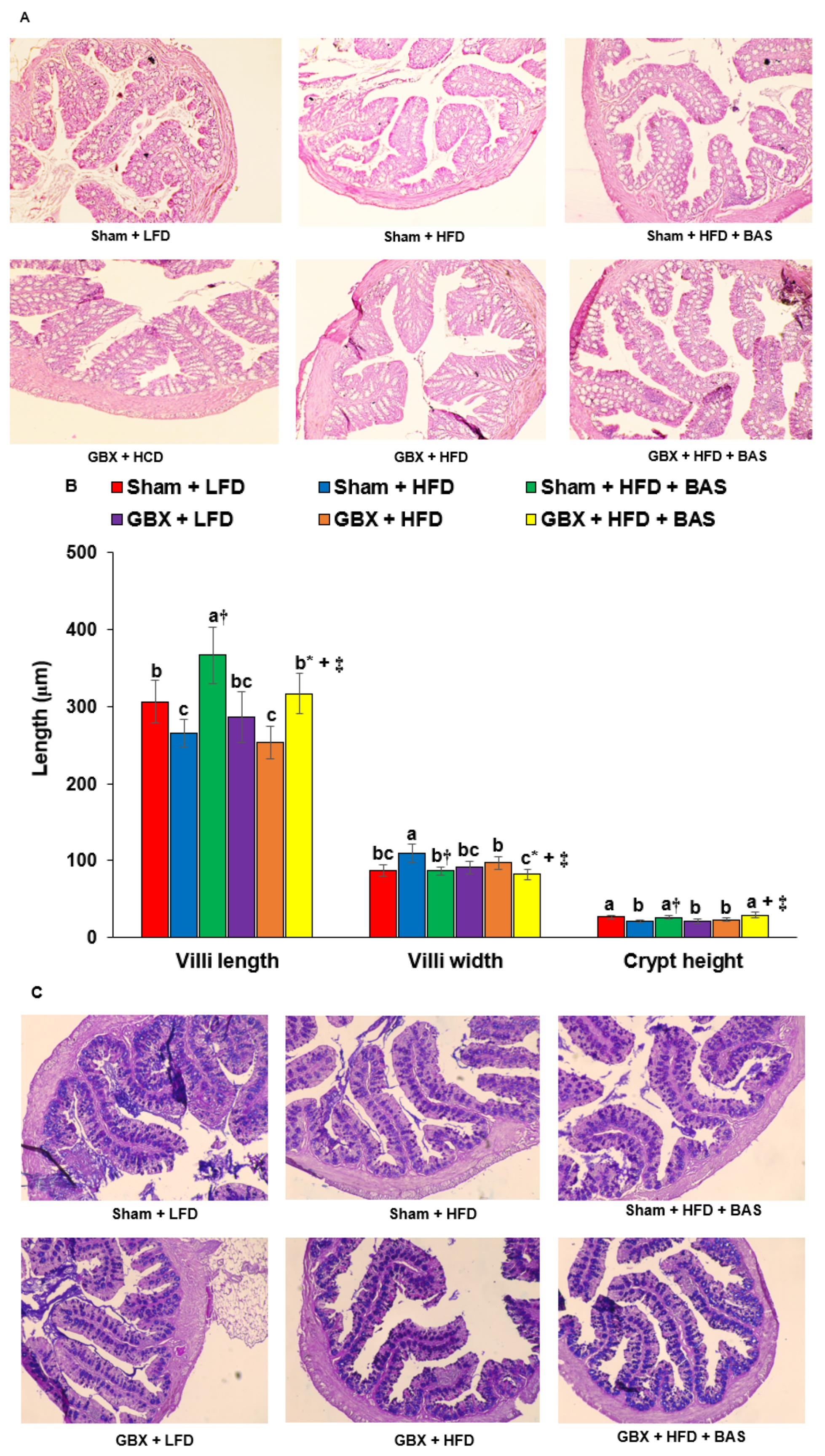 Ijms 23 05935 g001a 550