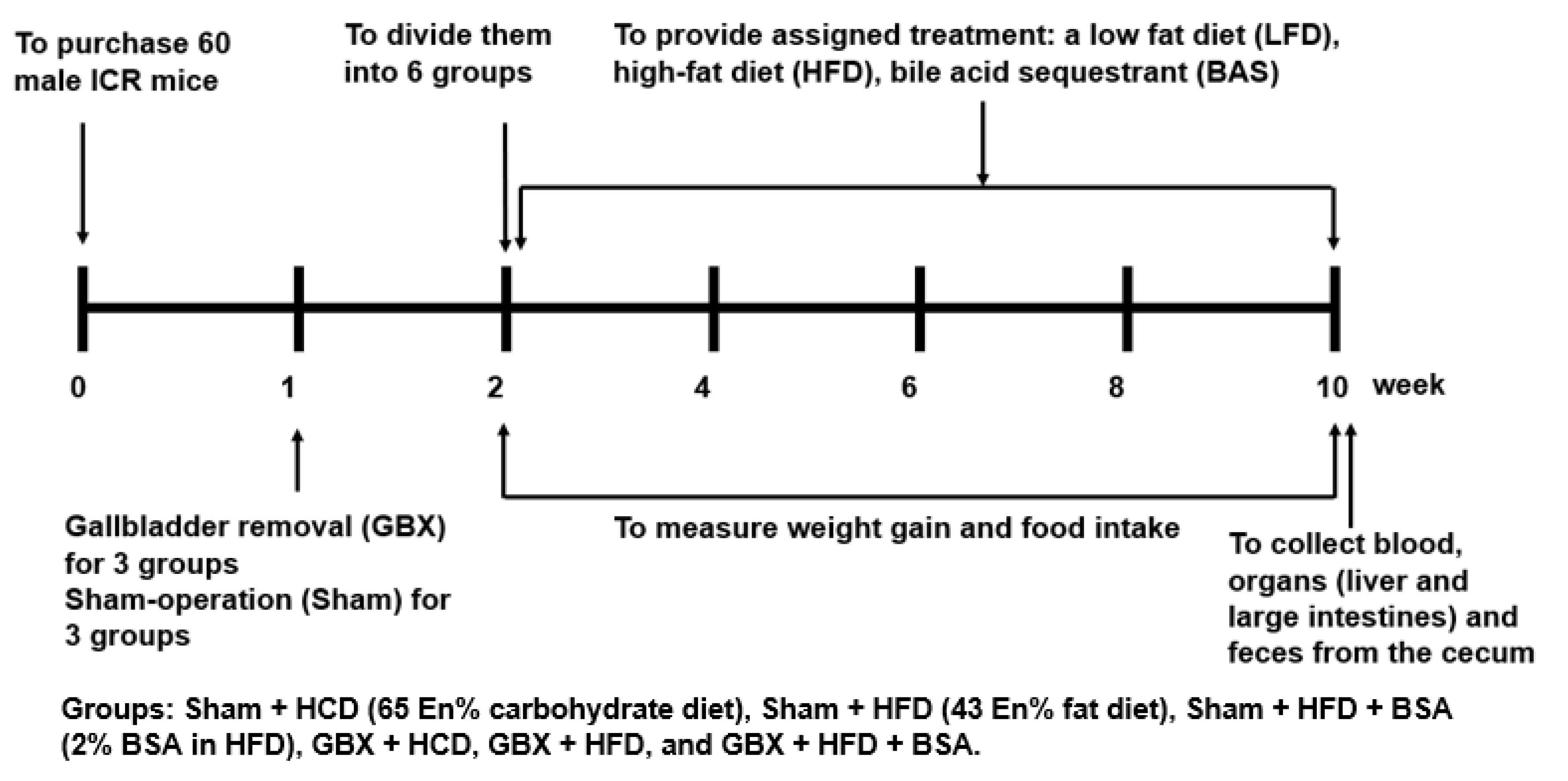 Ijms 23 05935 g005 550
