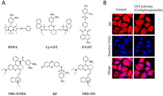 Chemical Probes and Activity-Based Protein Profiling for Cancer