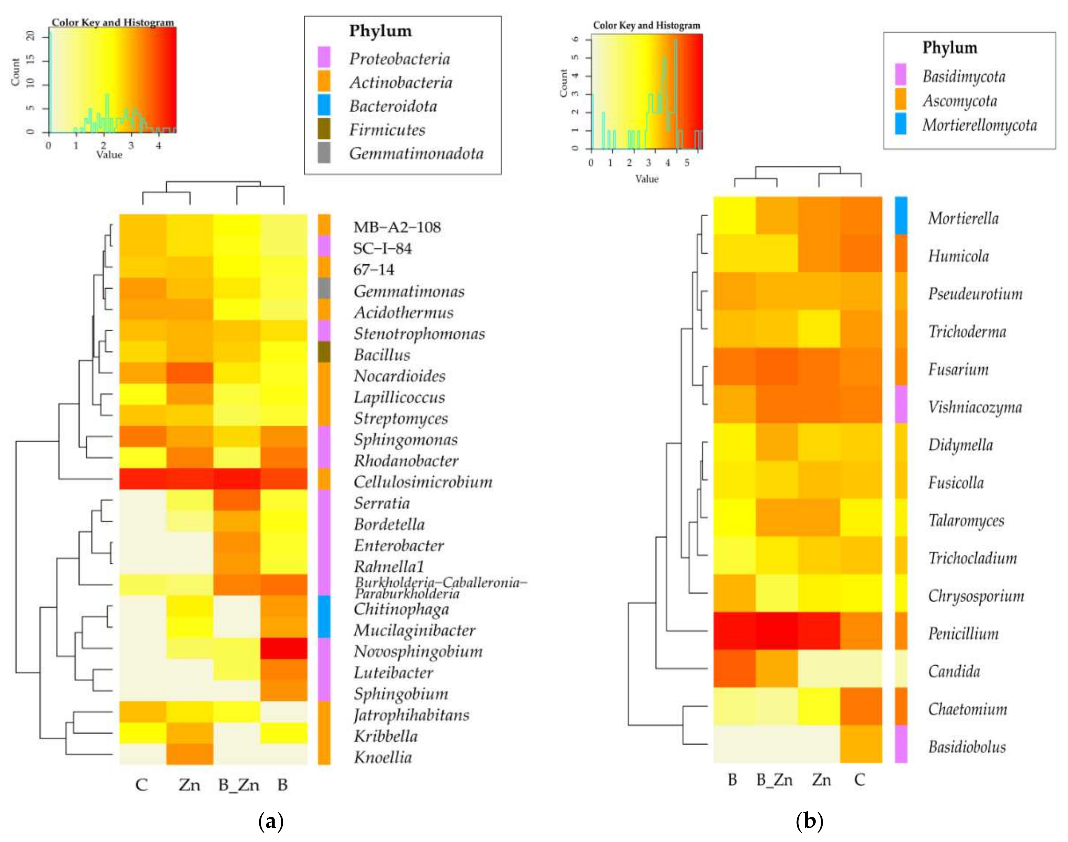 Ijms 23 05937 g010 Ijms 23 05937 g010