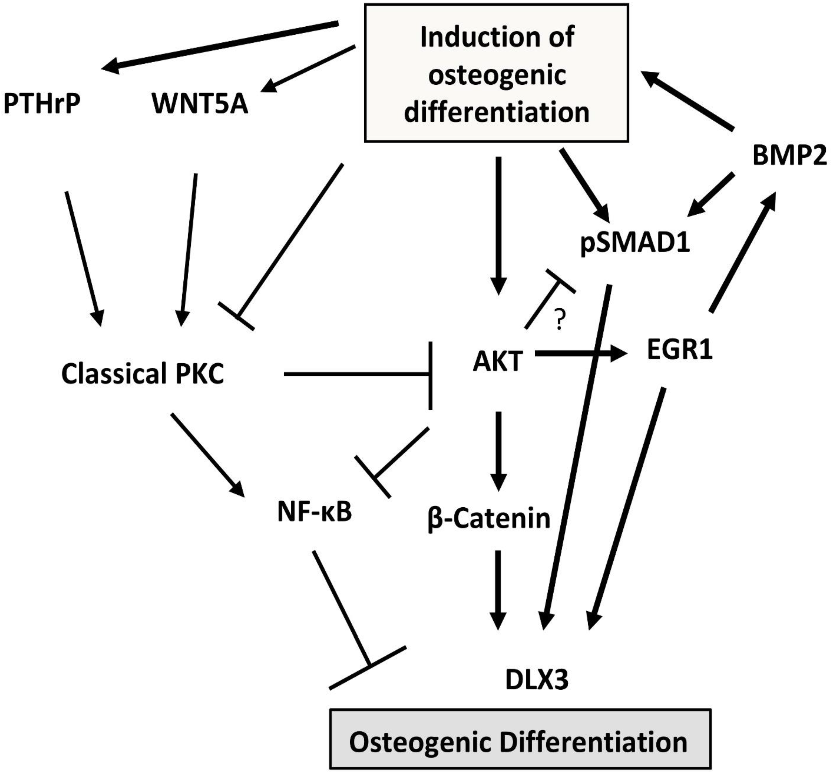 Ijms 23 05945 g003 Ijms 23 05945 g003