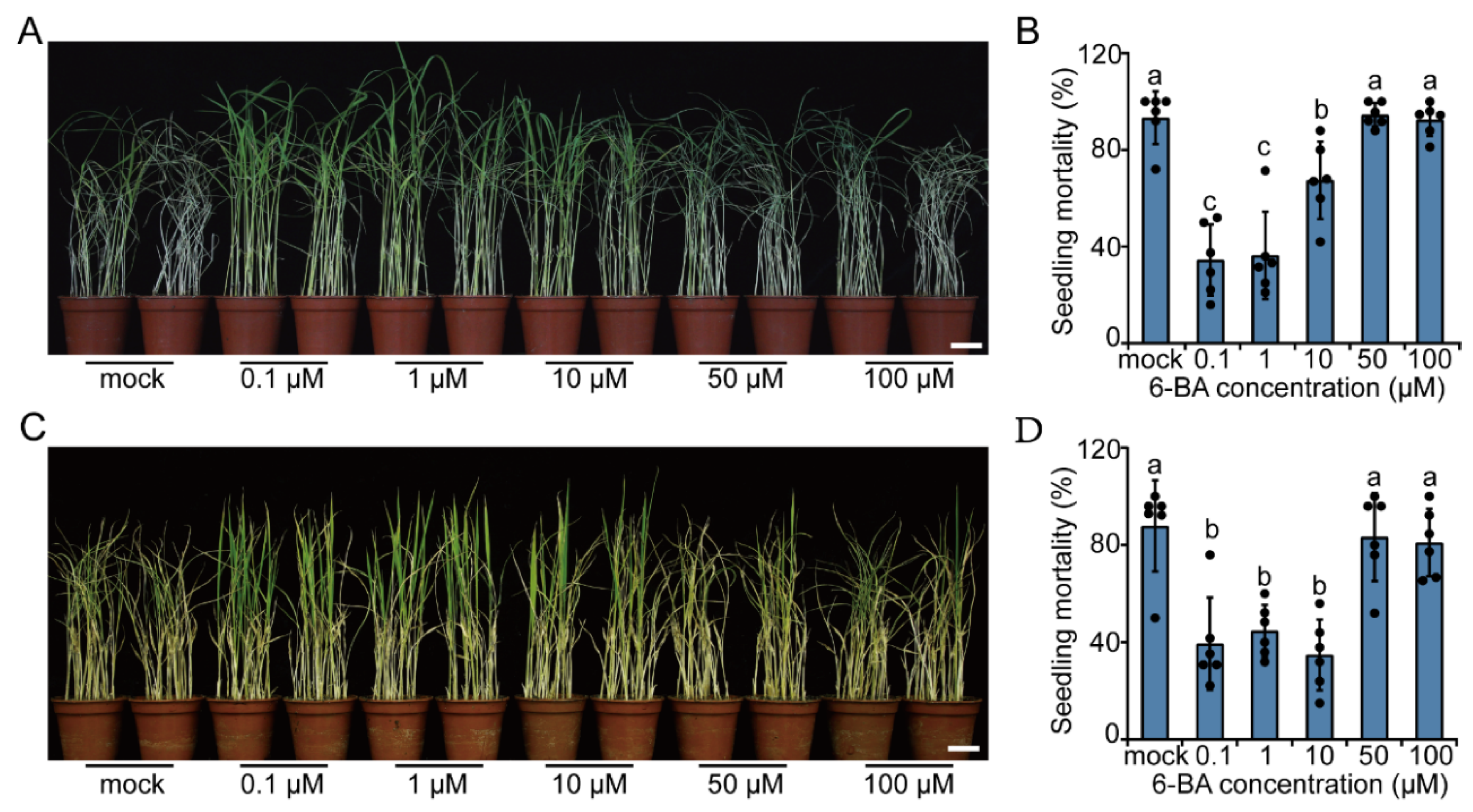 Ijms 23 05946 g002 550
