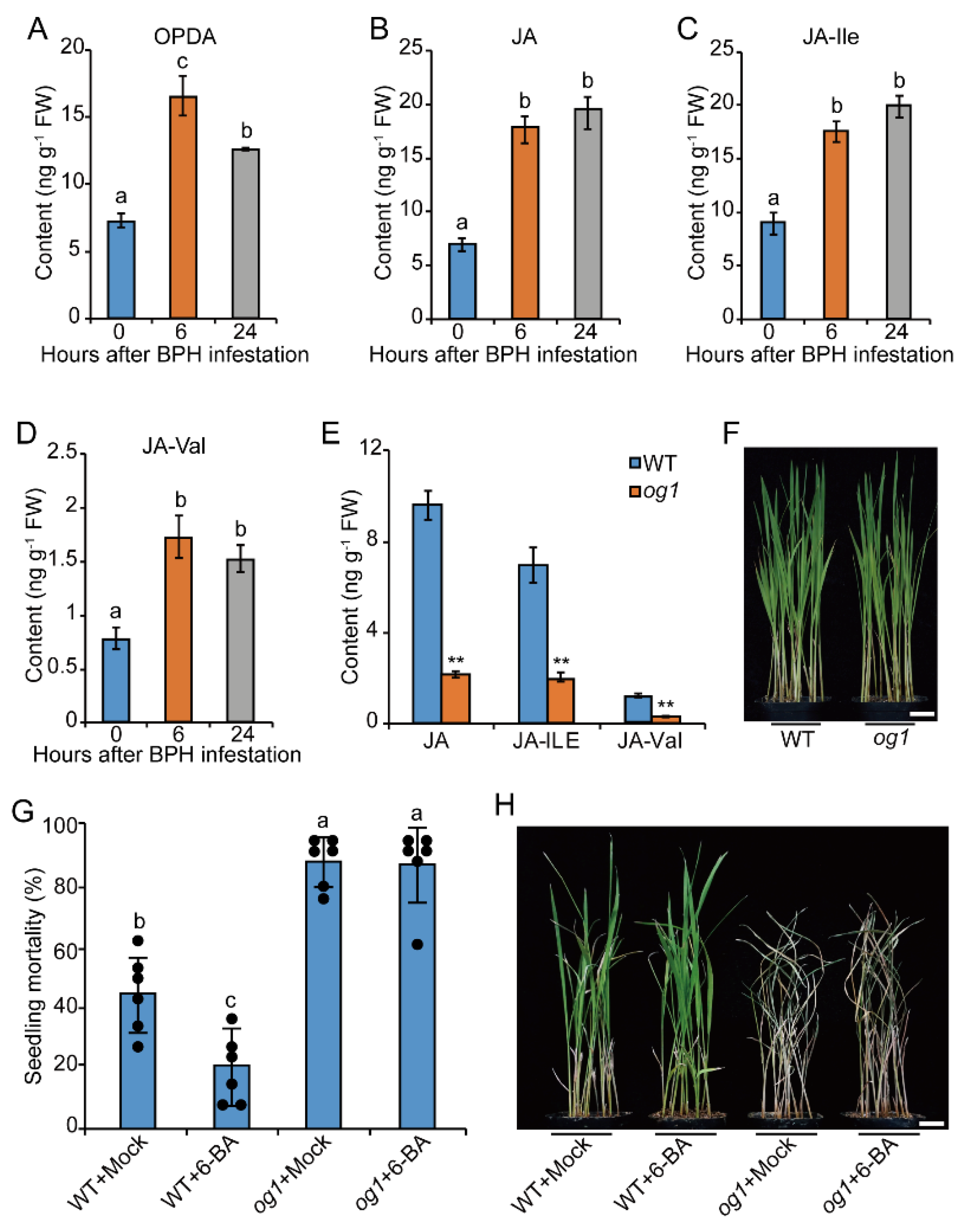 Ijms 23 05946 g005 550
