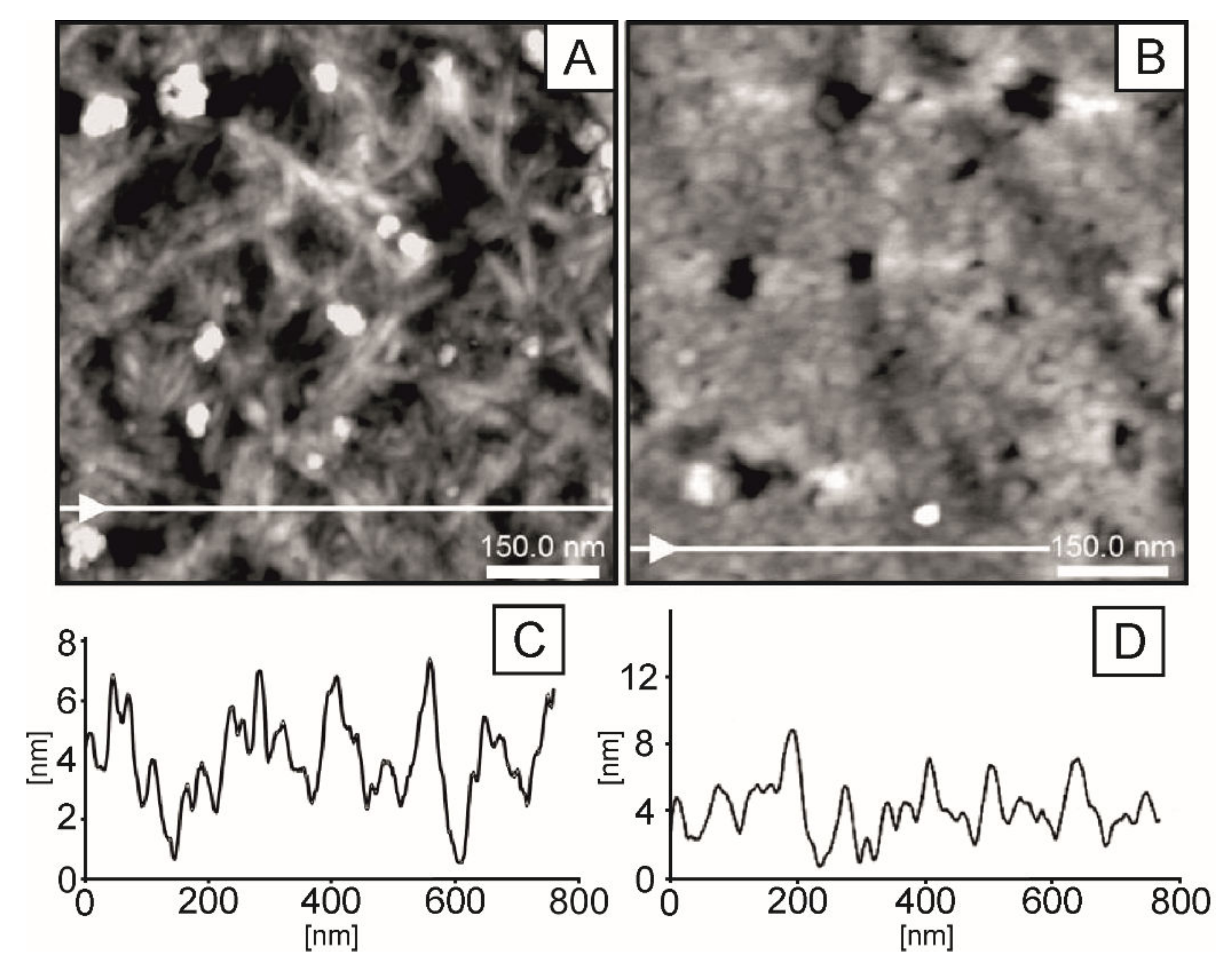 Ijms 23 05953 g006 550