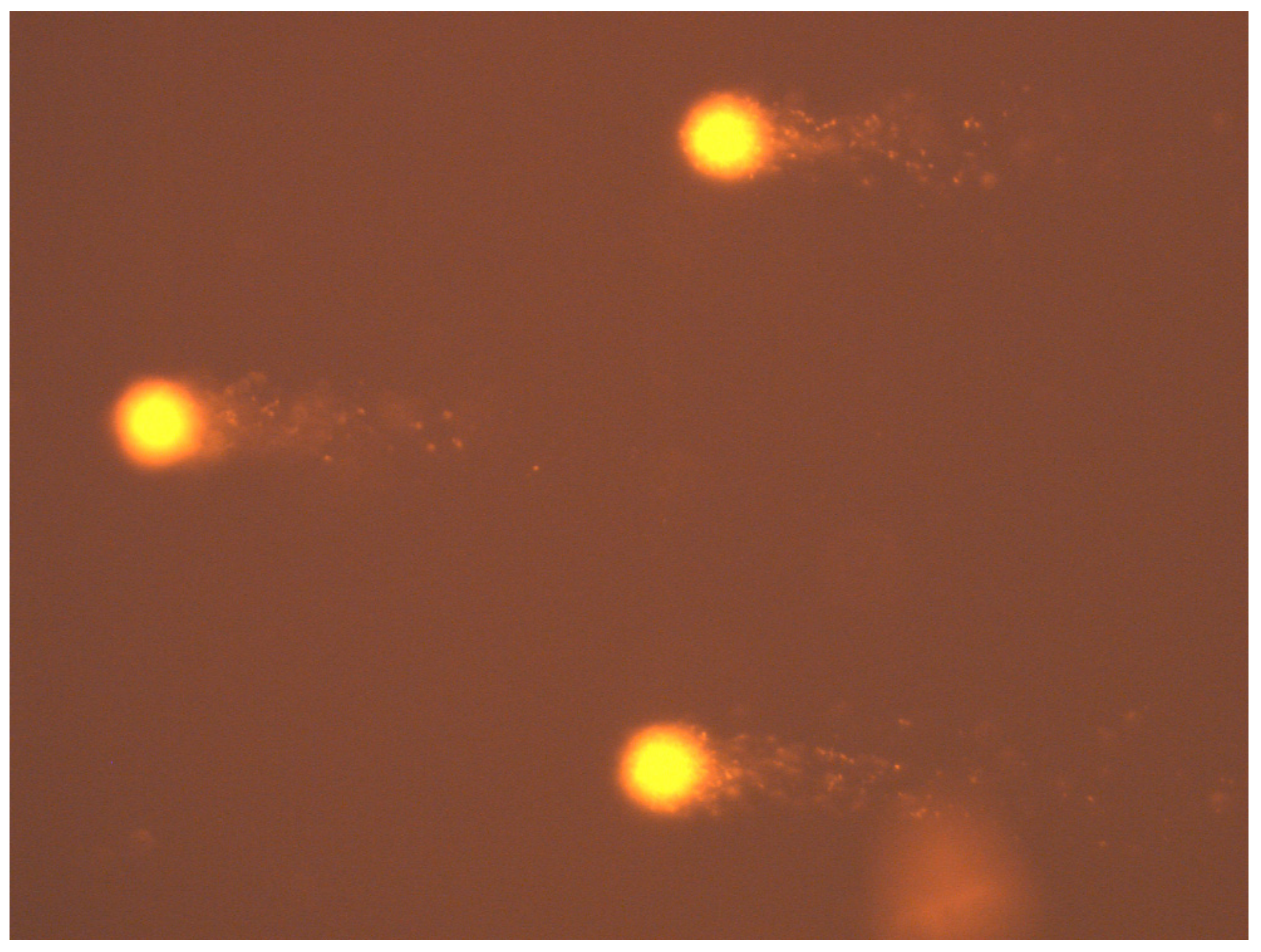 Ijms 23 05956 g005 550