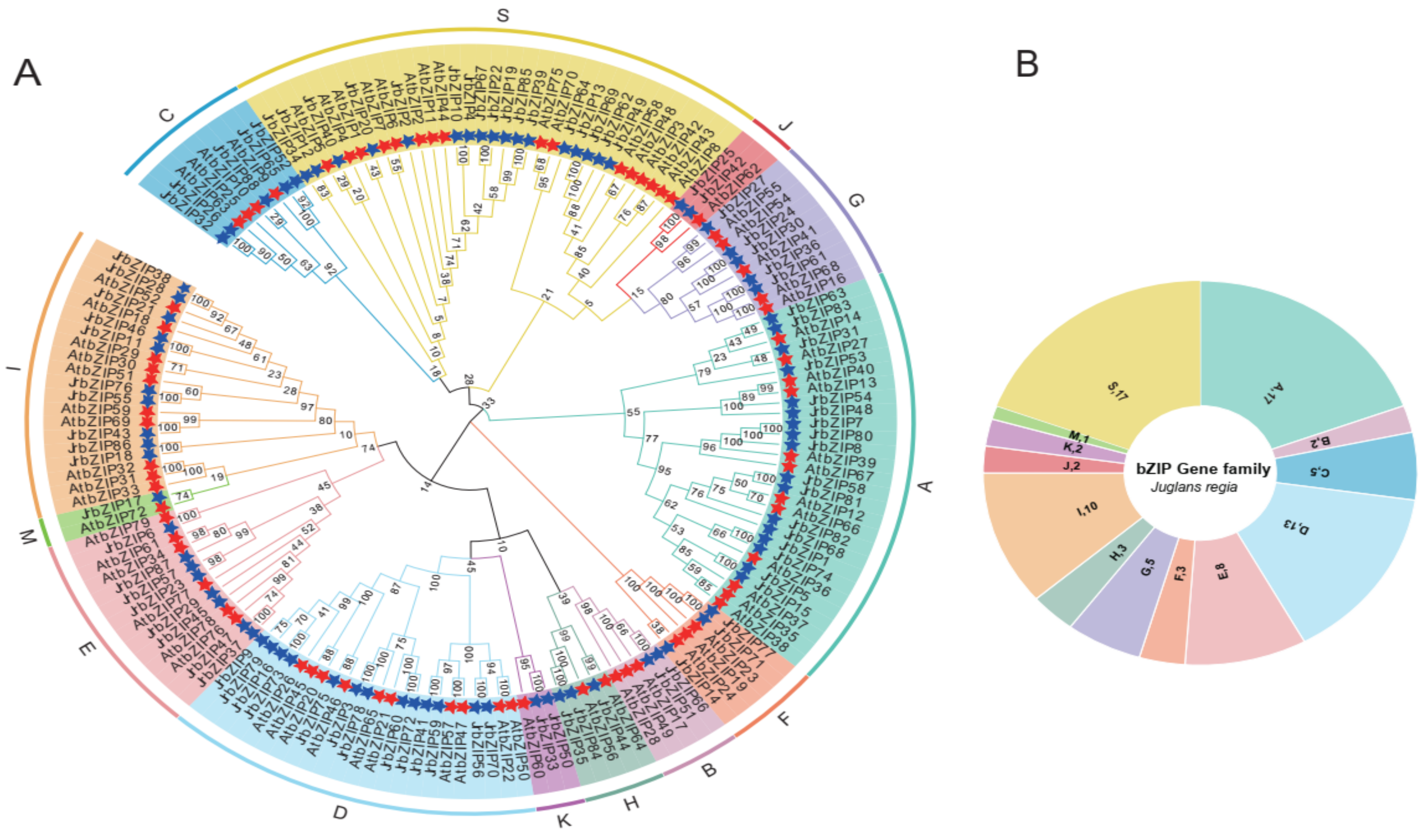 Ijms 23 05961 g001 550