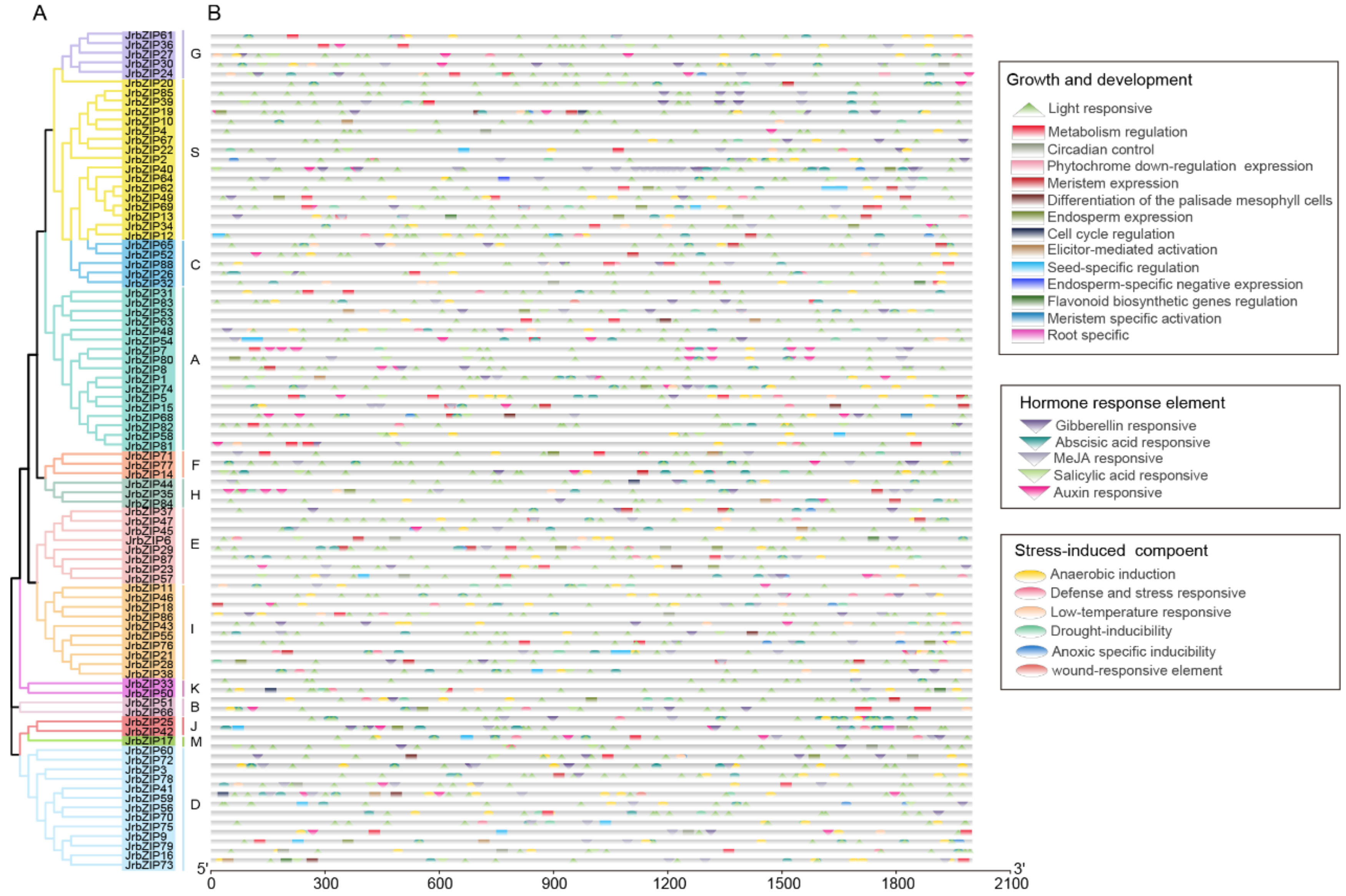 Ijms 23 05961 g002 550