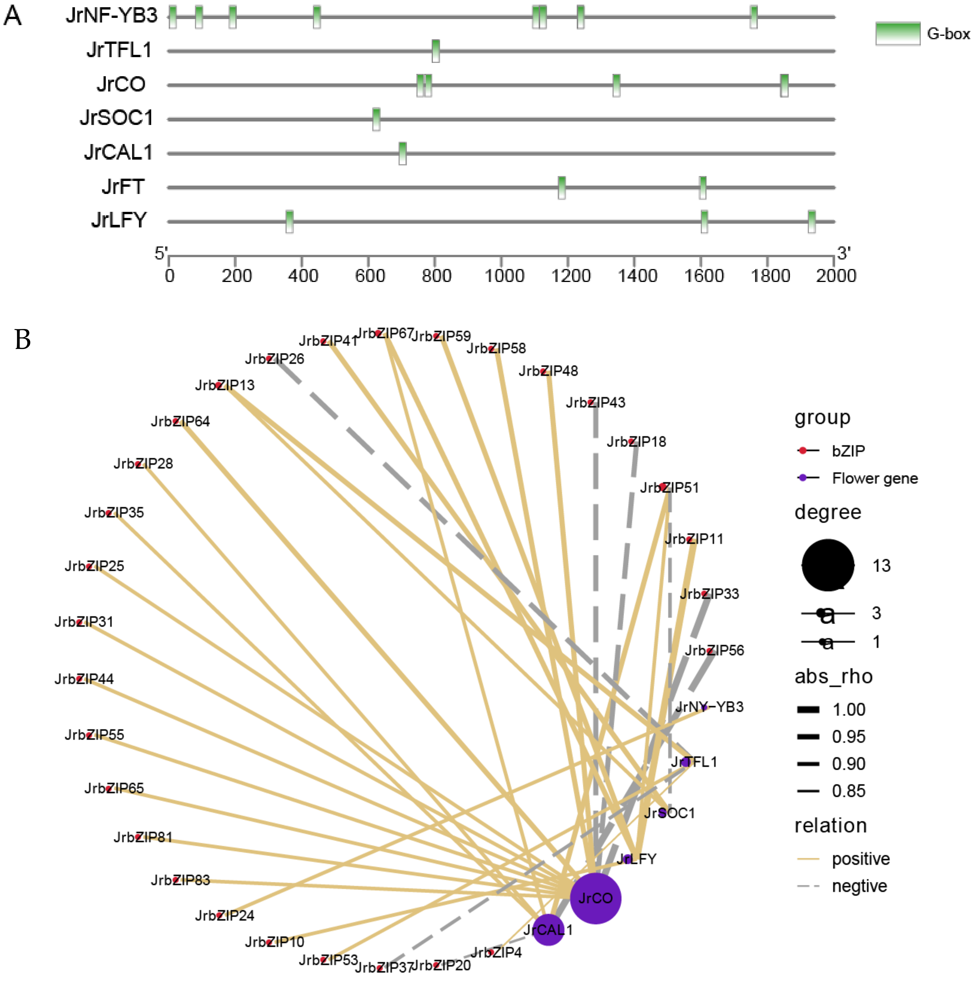 Ijms 23 05961 g008 550
