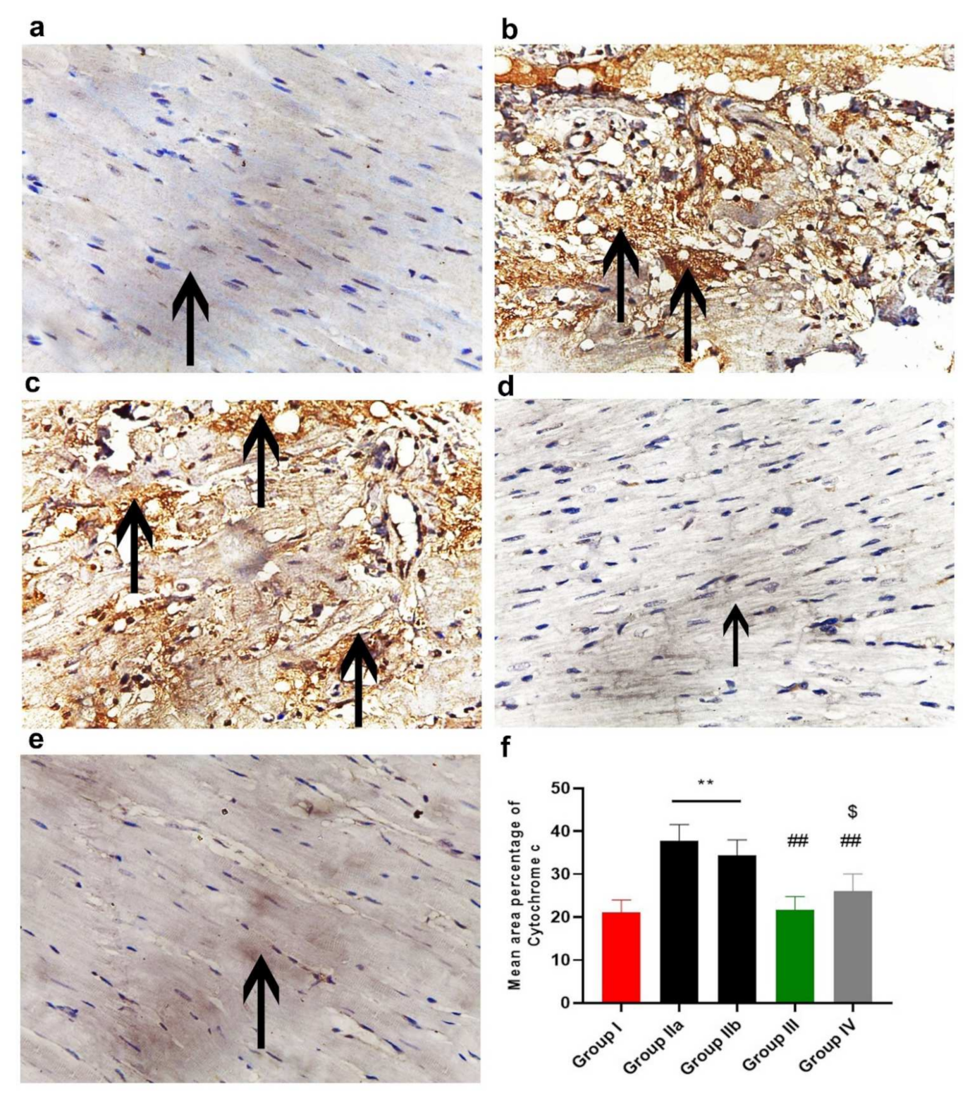 Ijms 23 05967 g013 550