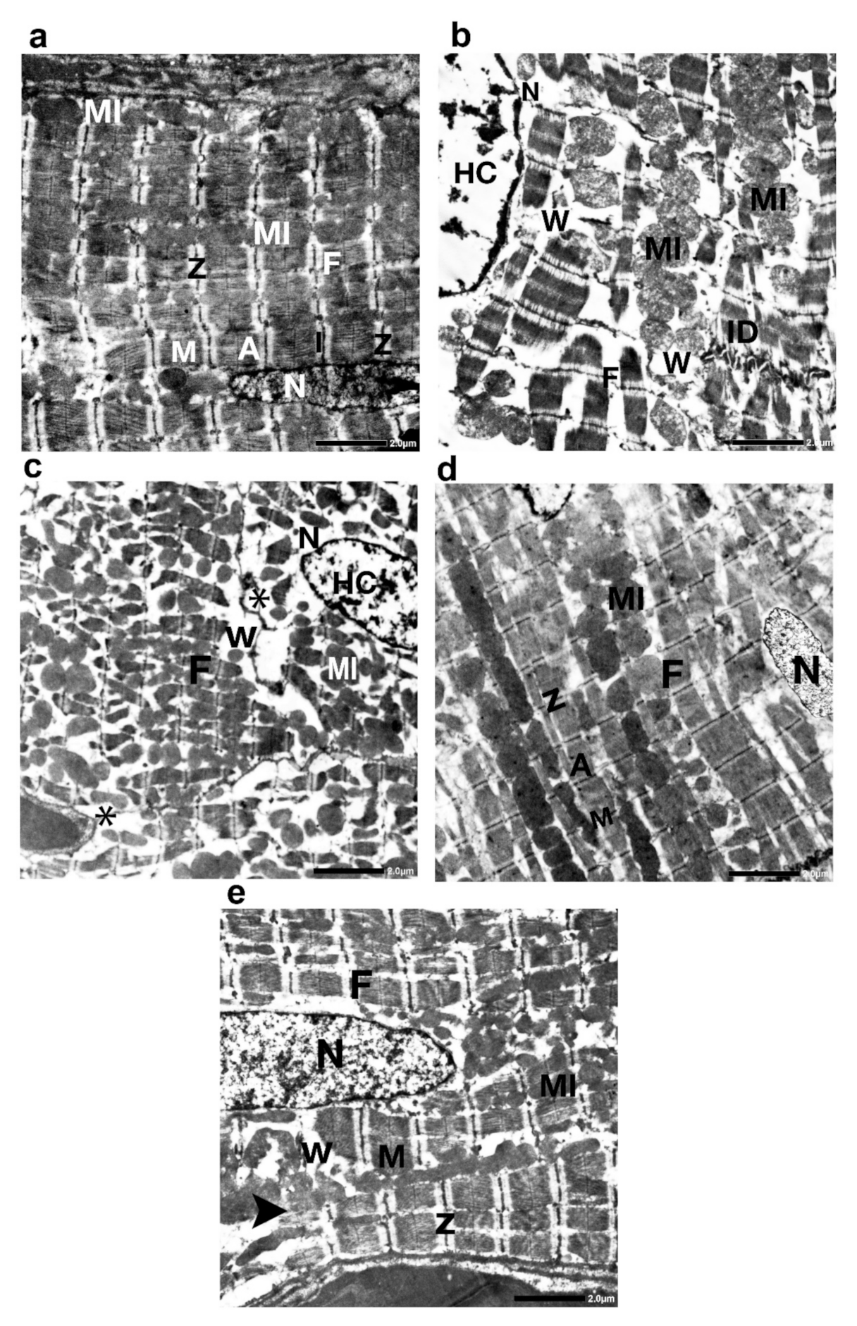 Ijms 23 05967 g016 550