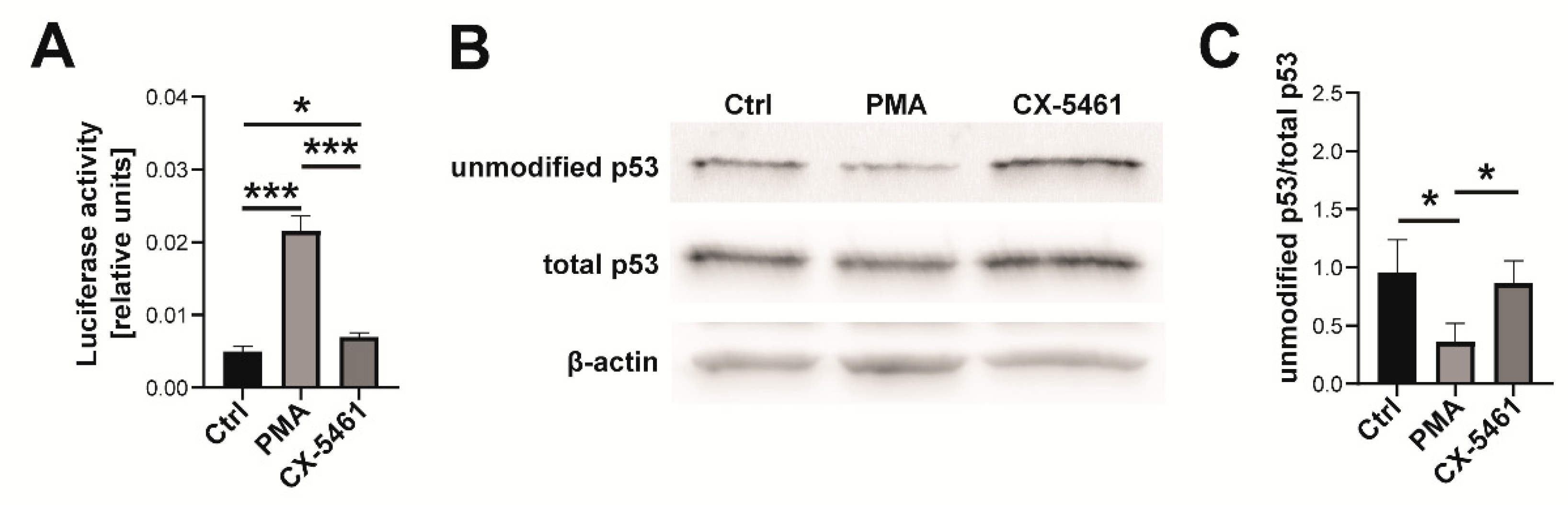 Ijms 23 05969 g003 550