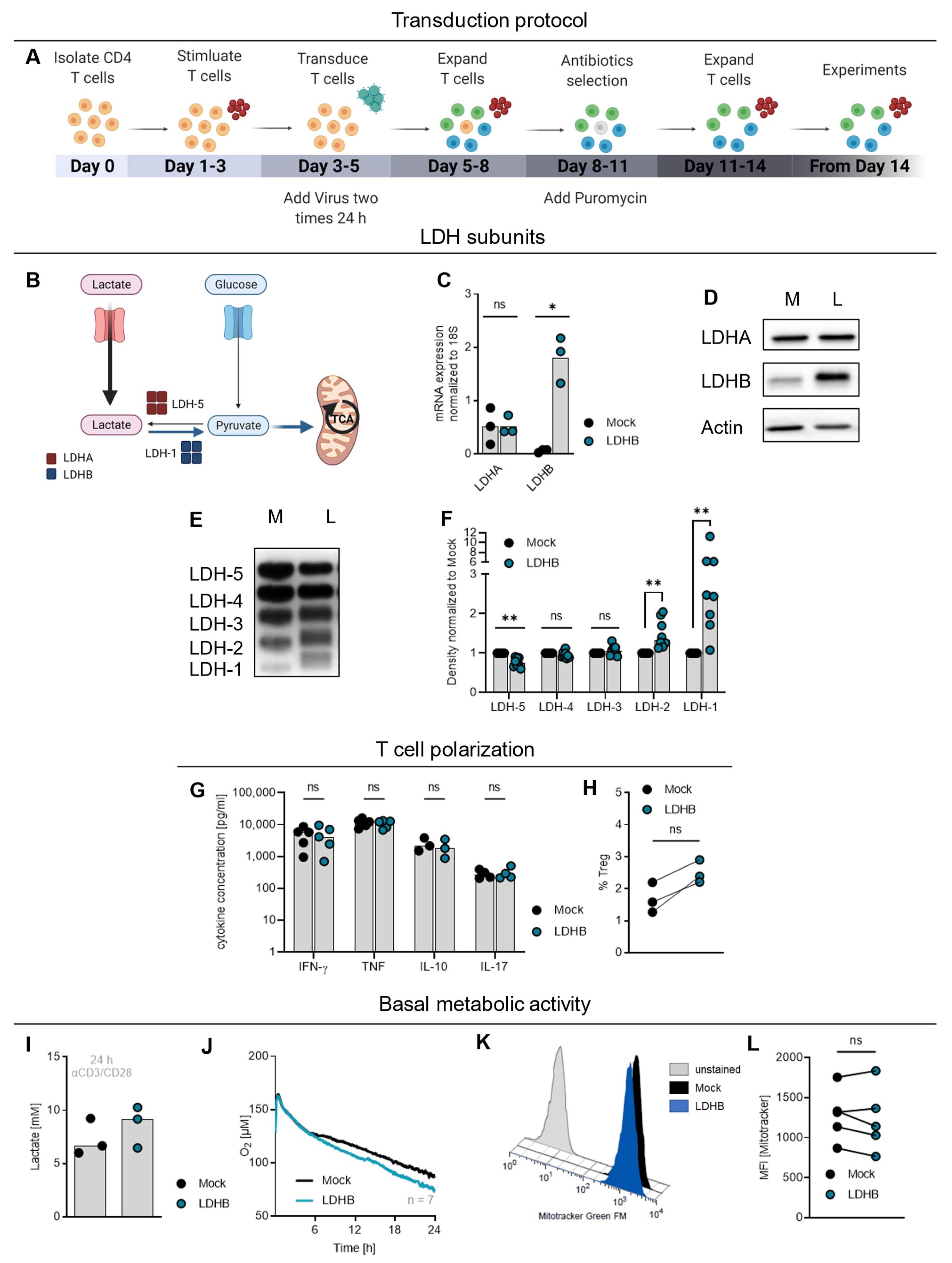 Ijms 23 05970 g002 550