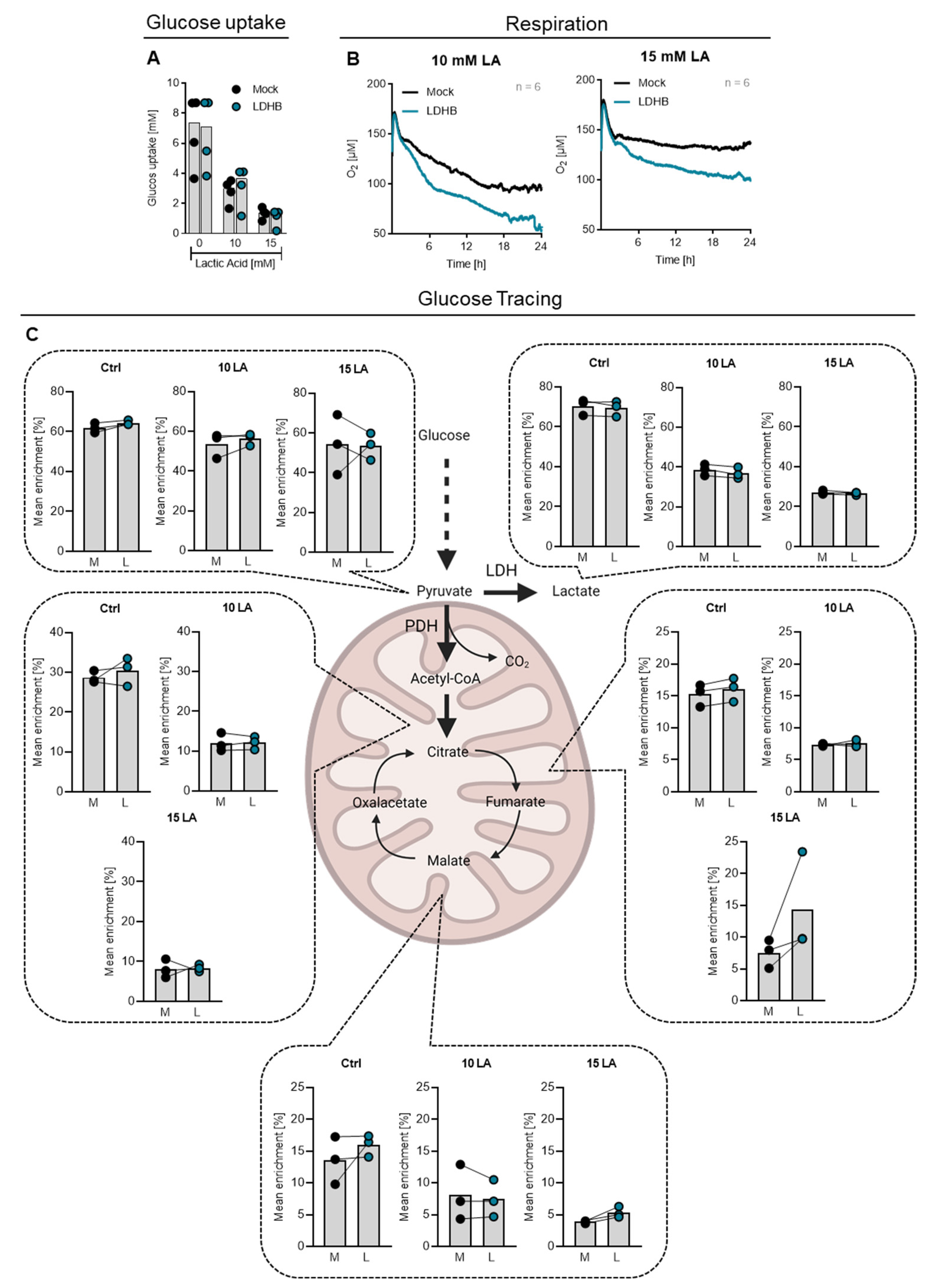Ijms 23 05970 g004 550