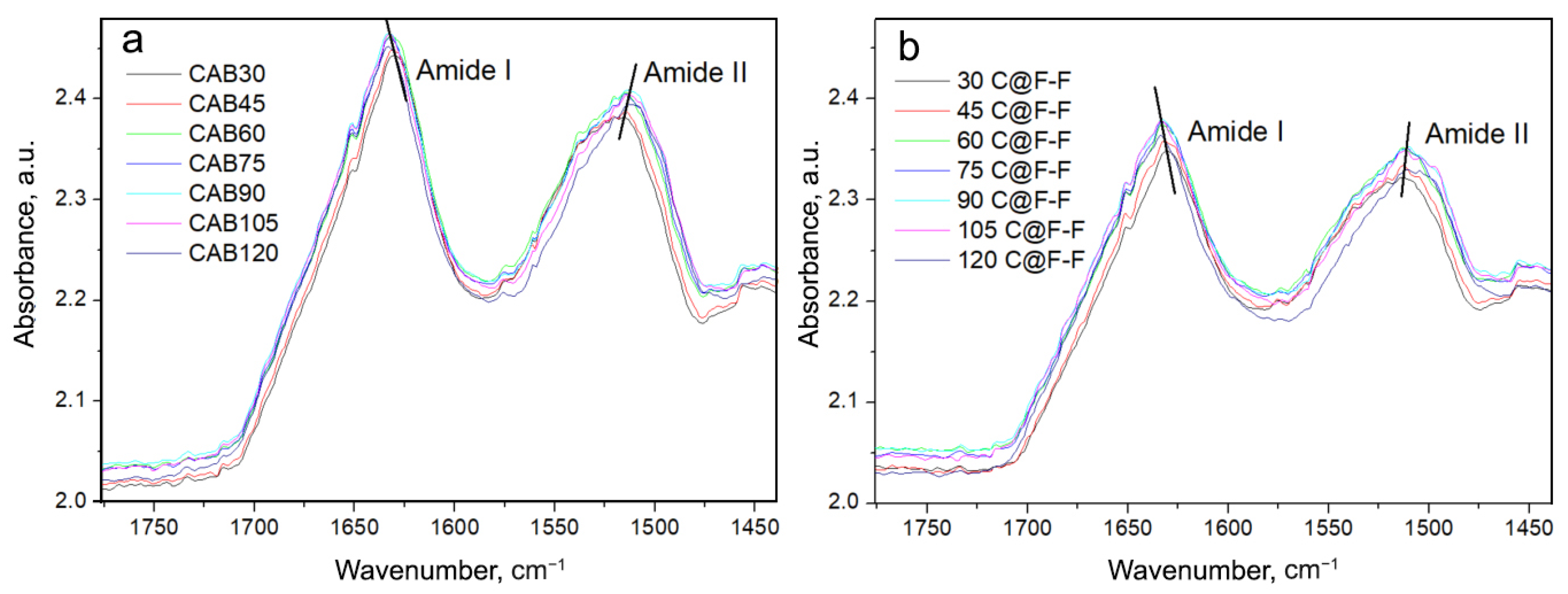 Ijms 23 05975 g004 550