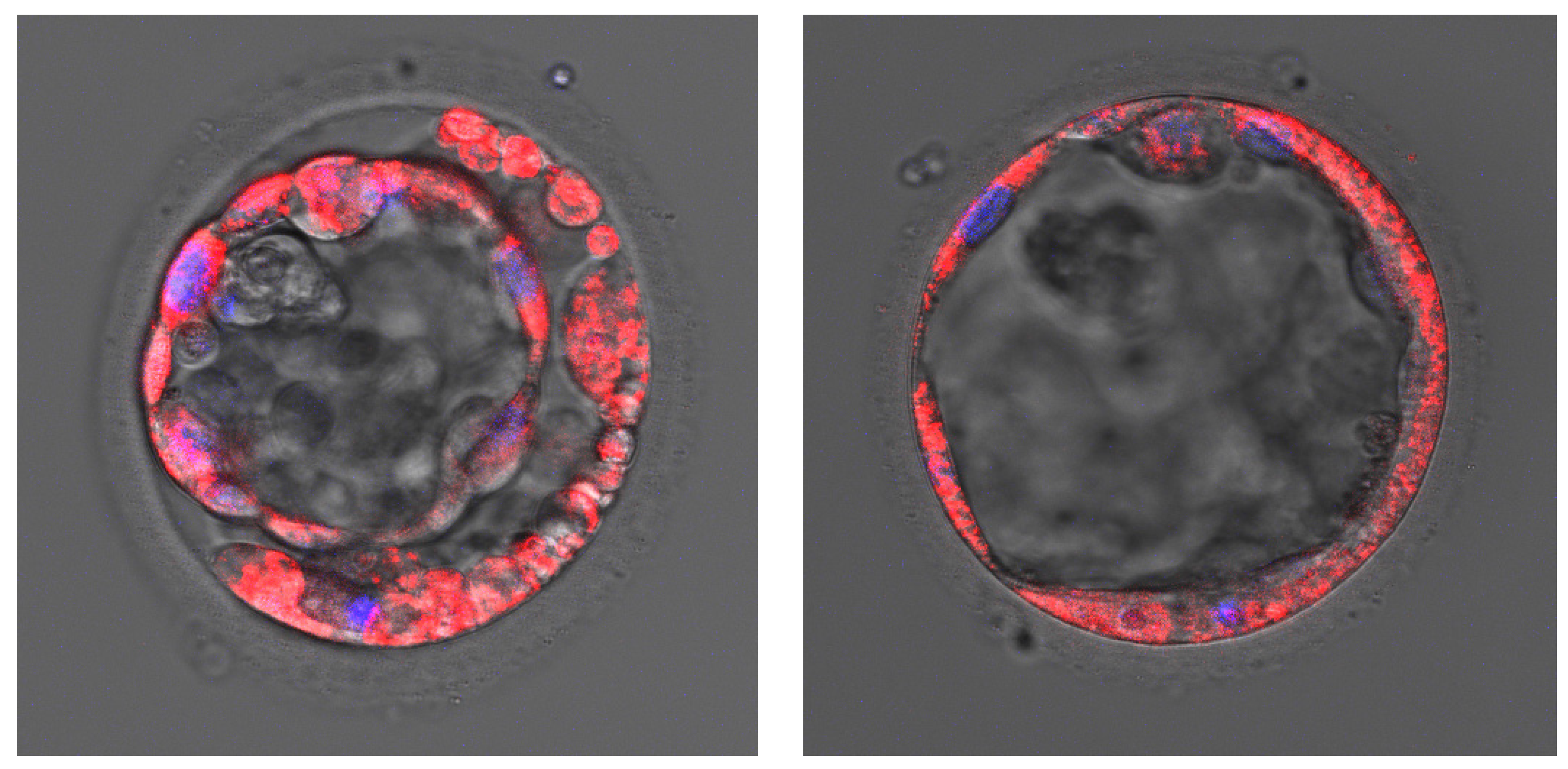 Ijms 23 05976 g001 550