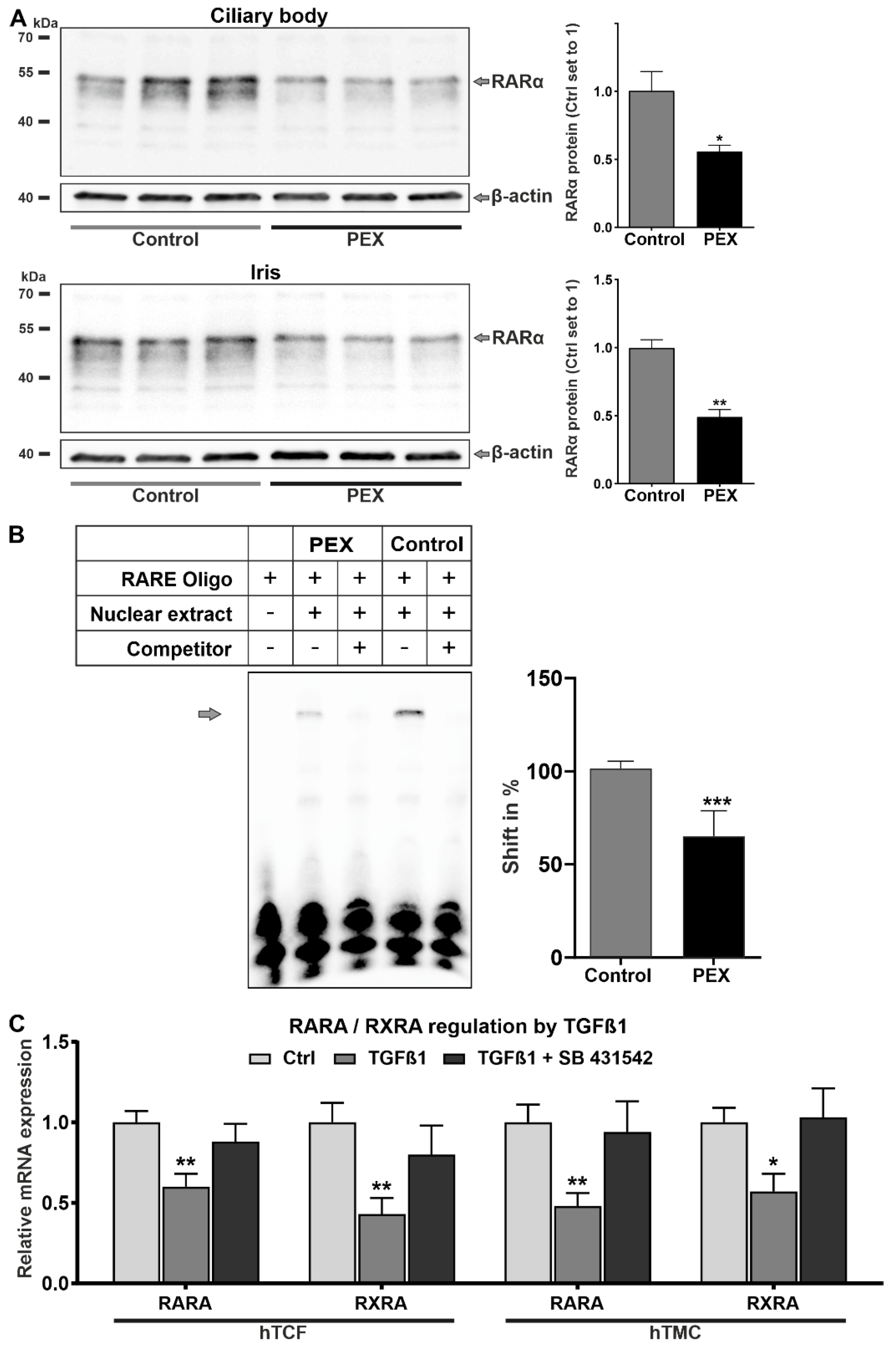 Ijms 23 05977 g003 550