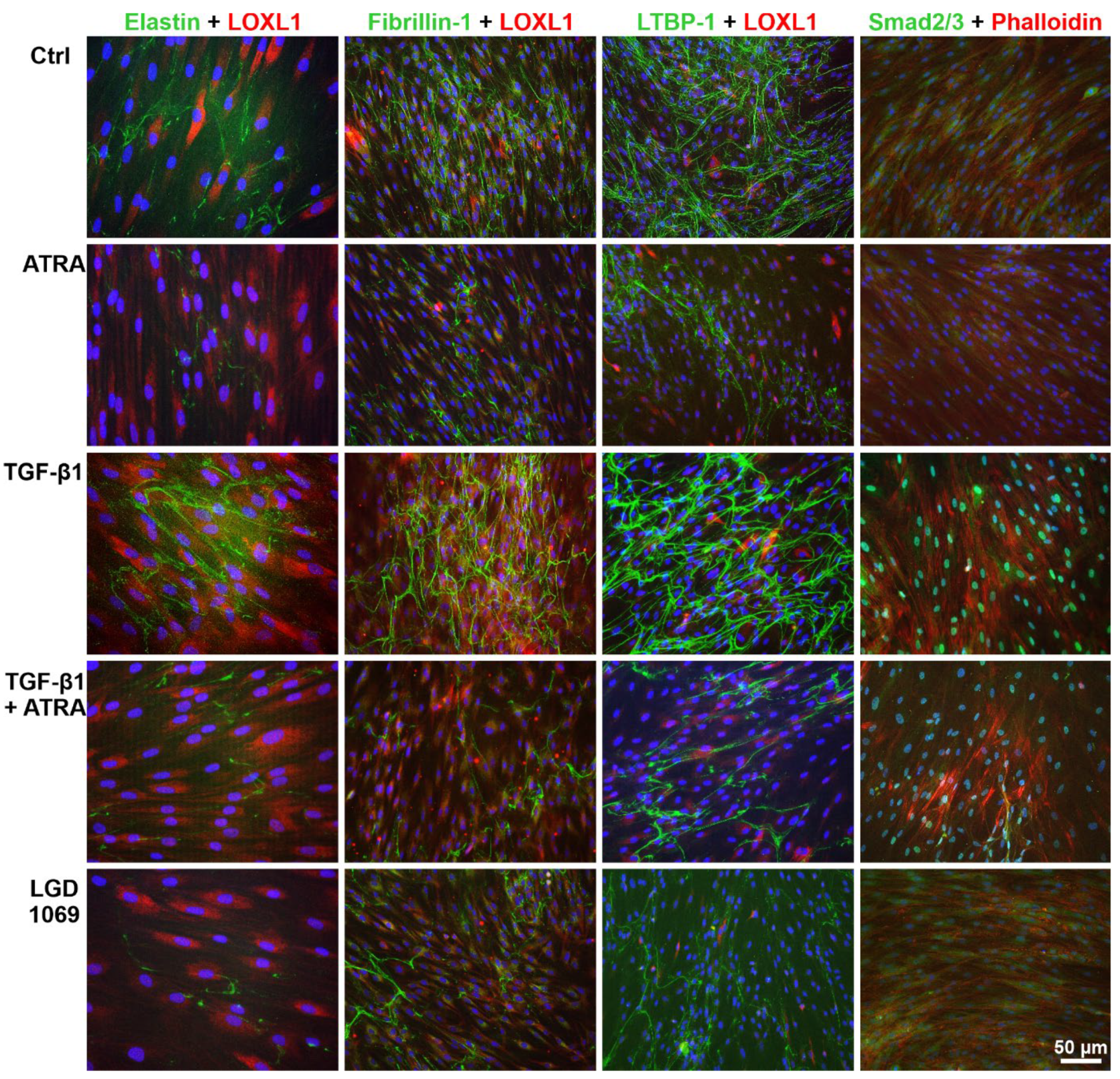 Ijms 23 05977 g010 550