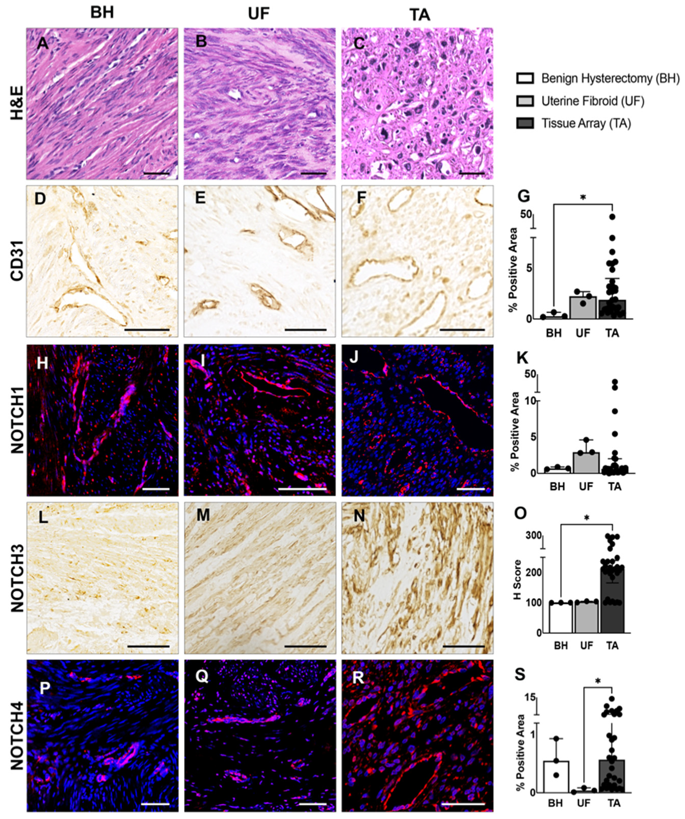 Ijms 23 05980 g002 550