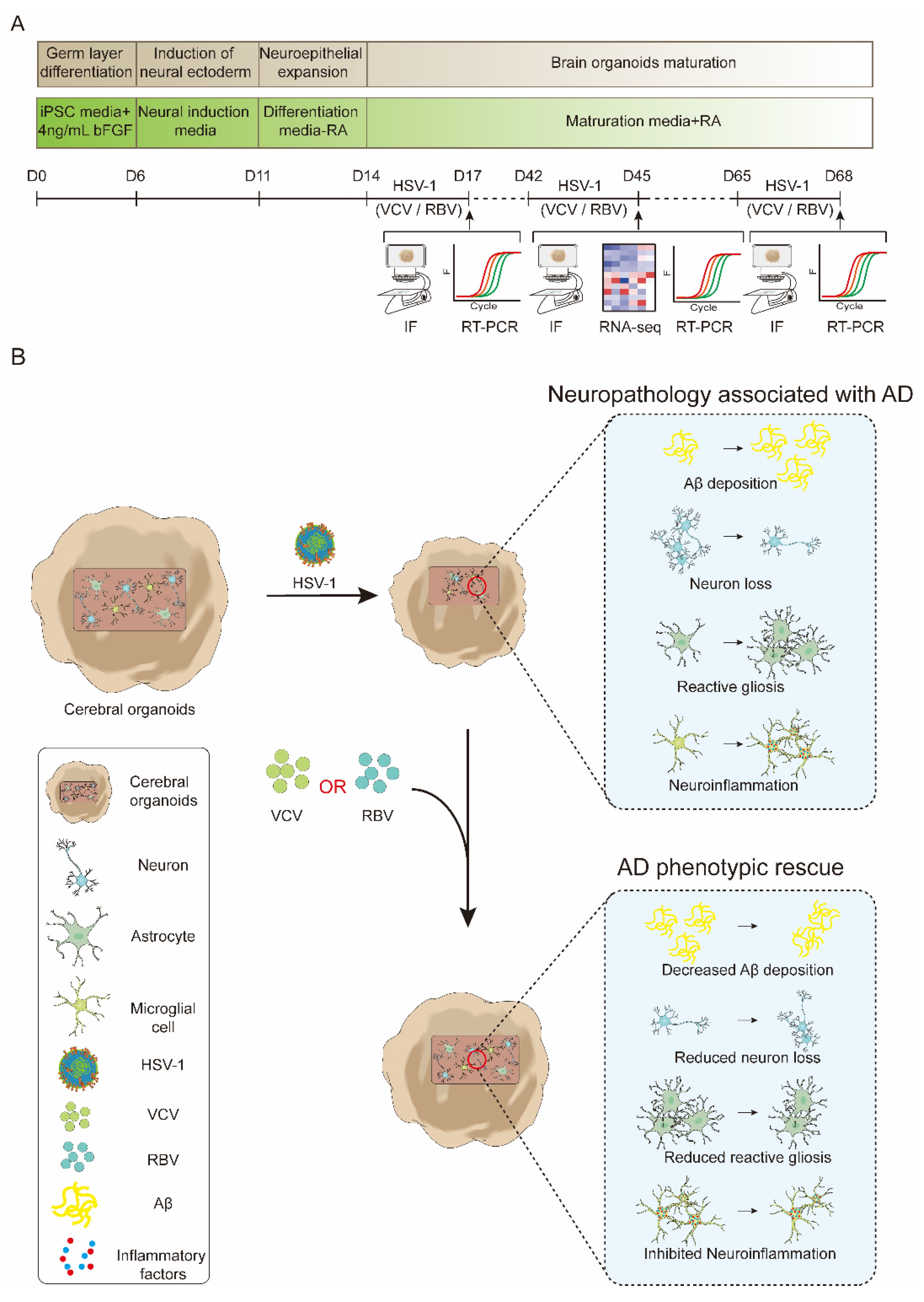 Ijms 23 05981 g001 550