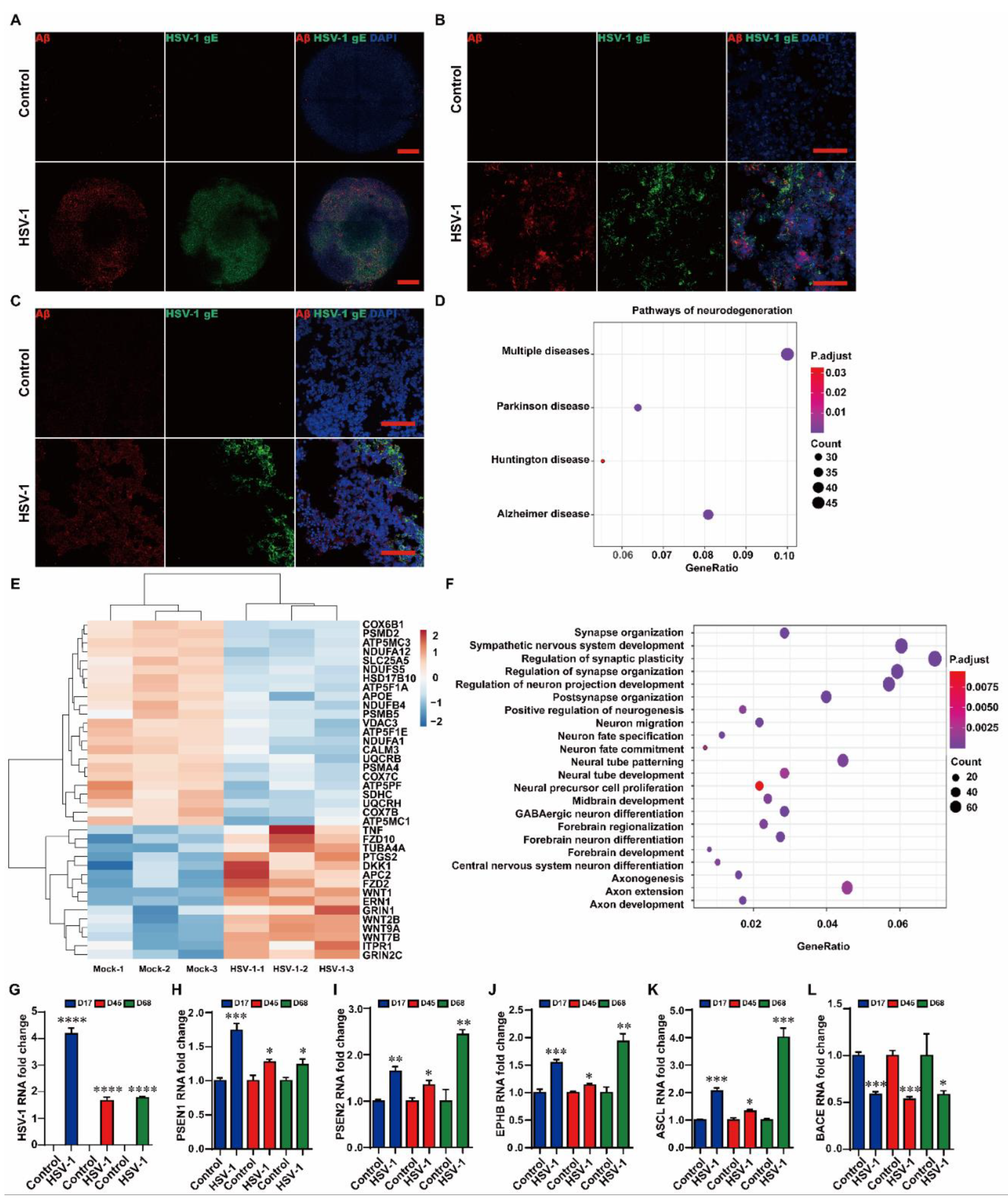 Ijms 23 05981 g002 550